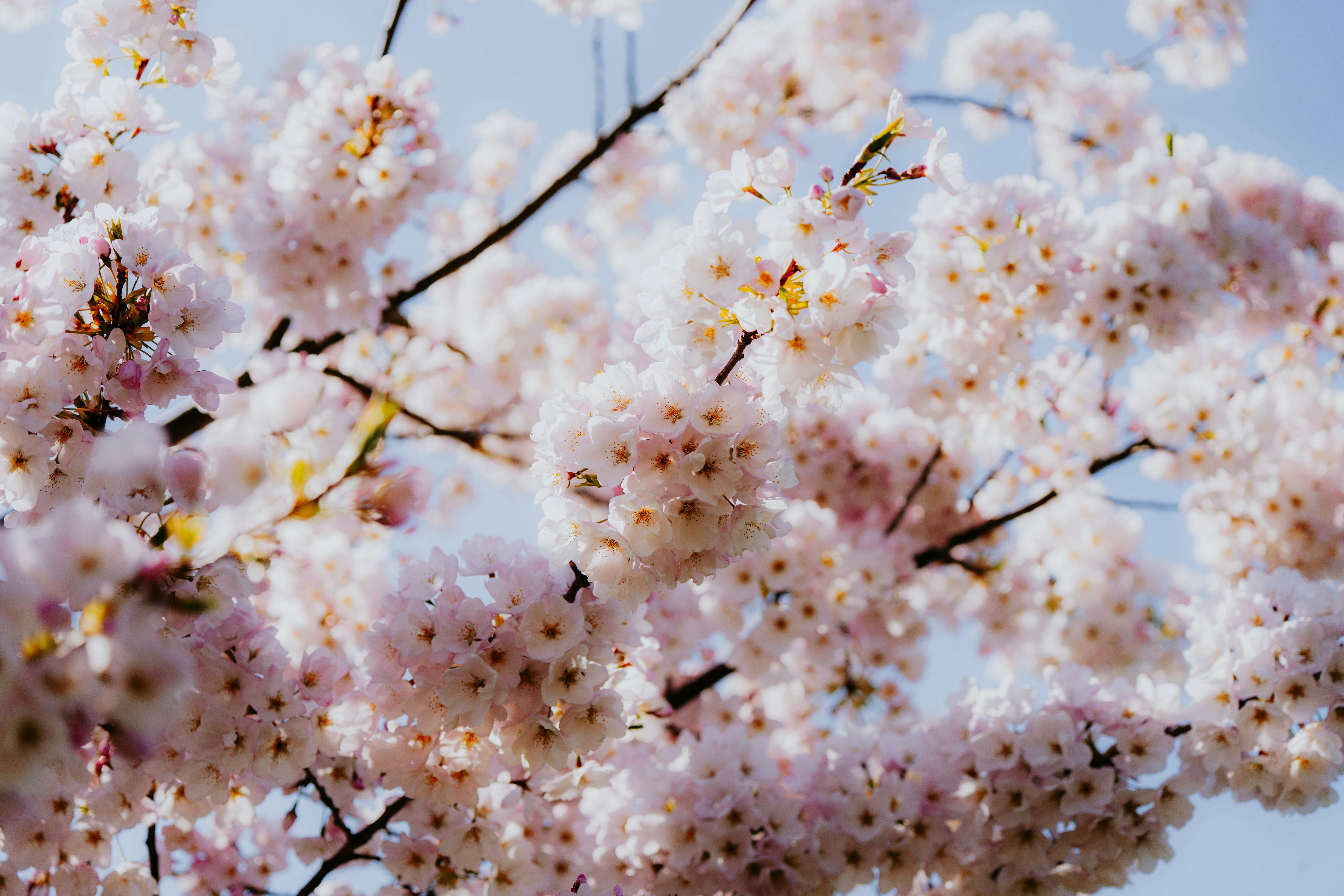 Photo by bylukemiller