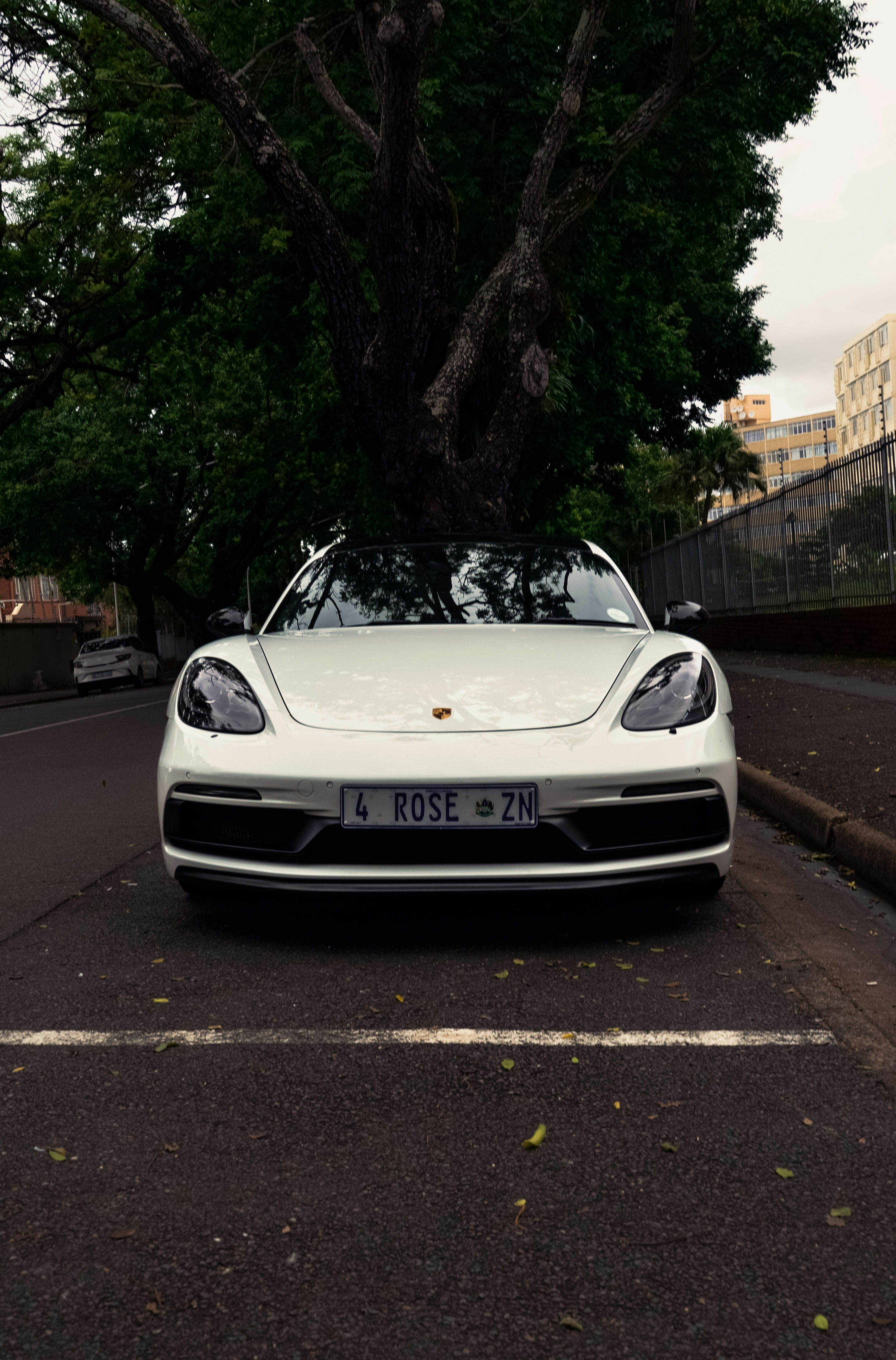 A white porsche is parked in front of a tree.