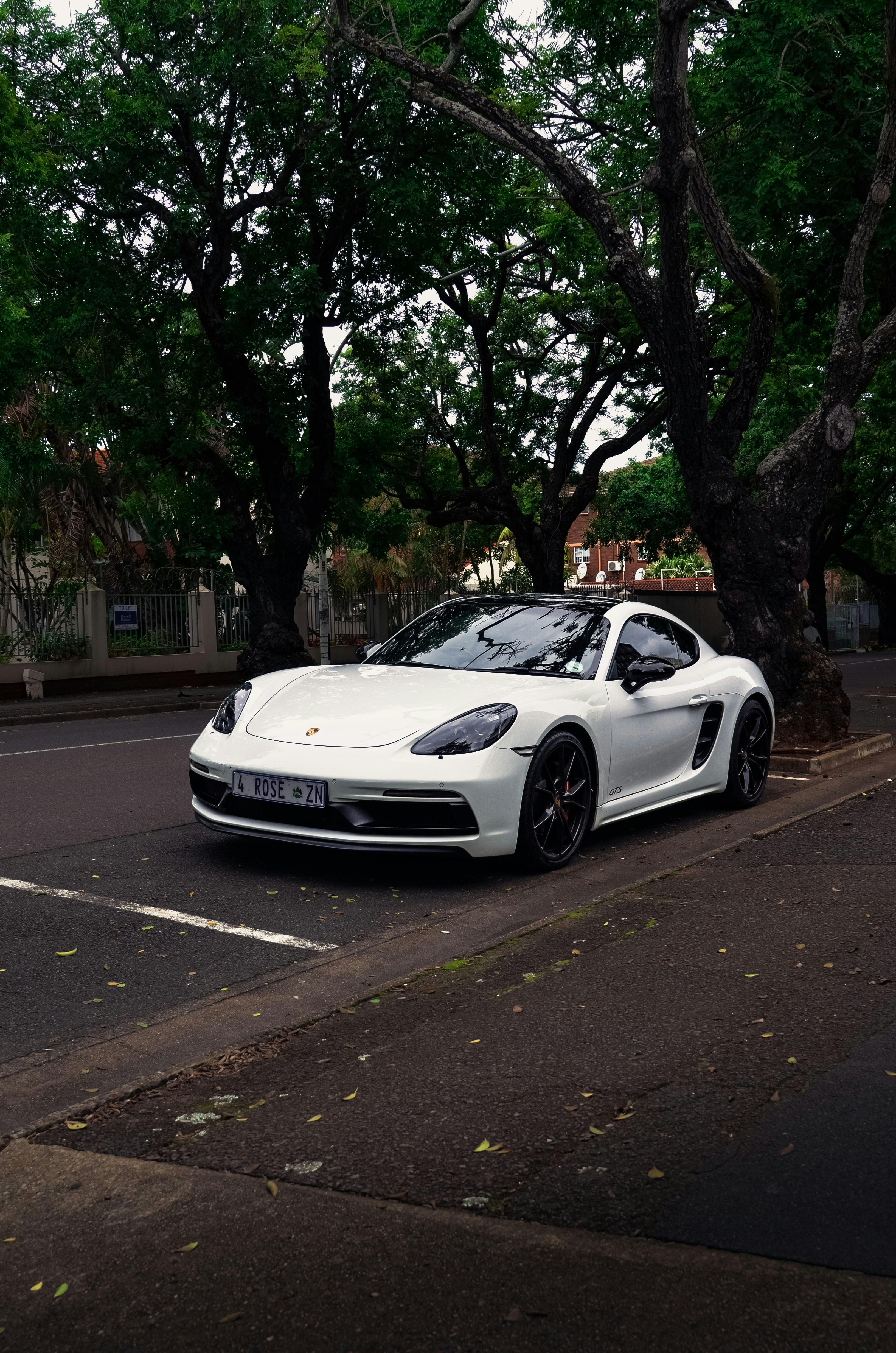 A white porsche parked beside lush green trees.