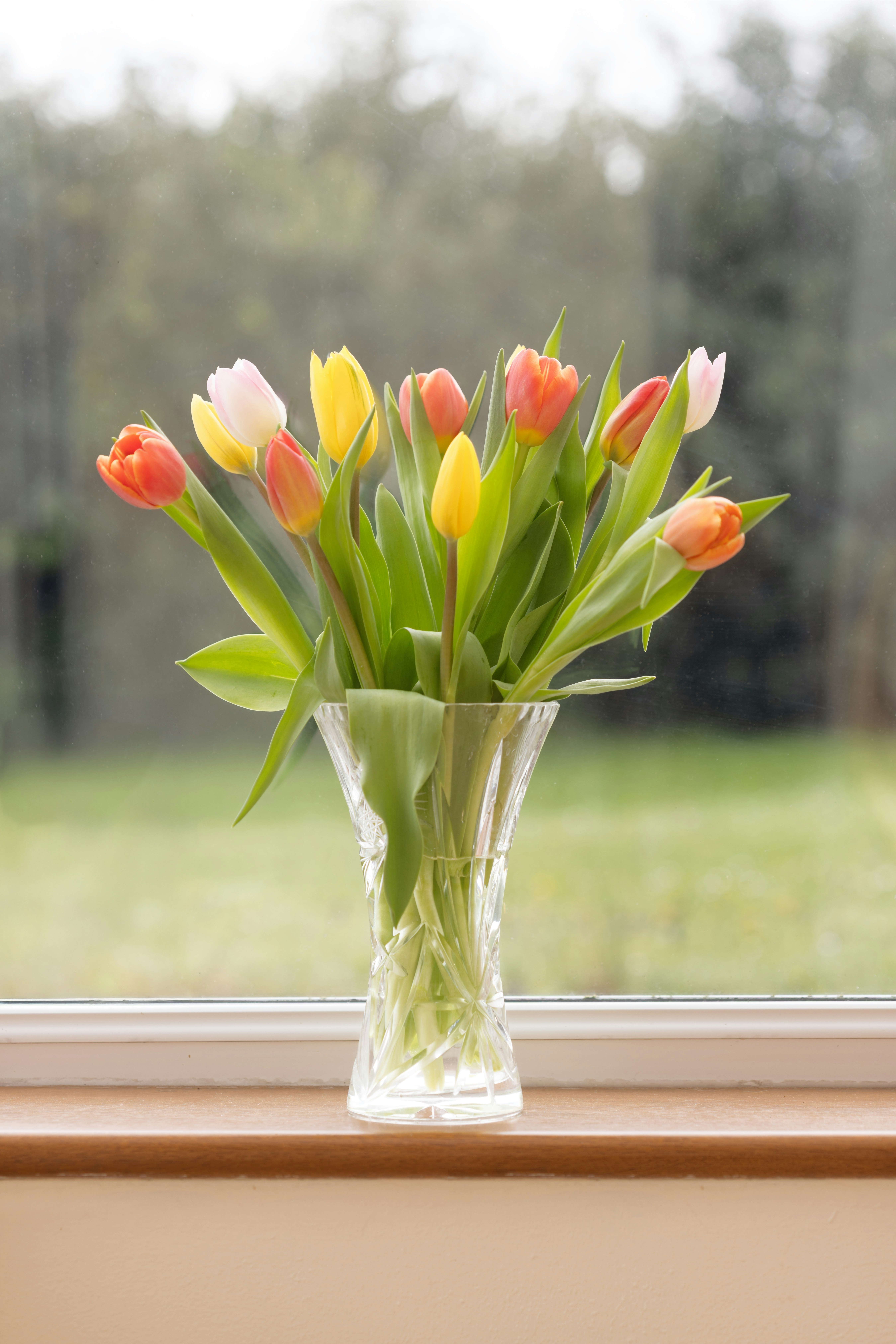 Colorful tulips in a glass vase sit on the windowsill.