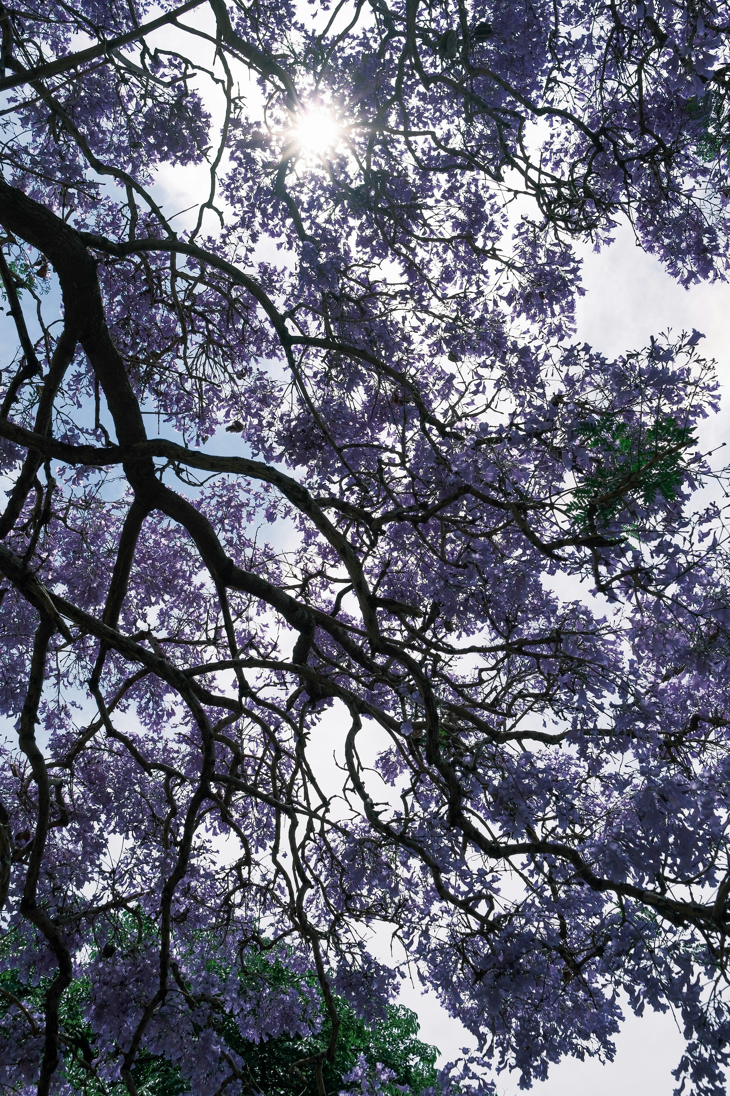 Photo by justalifein