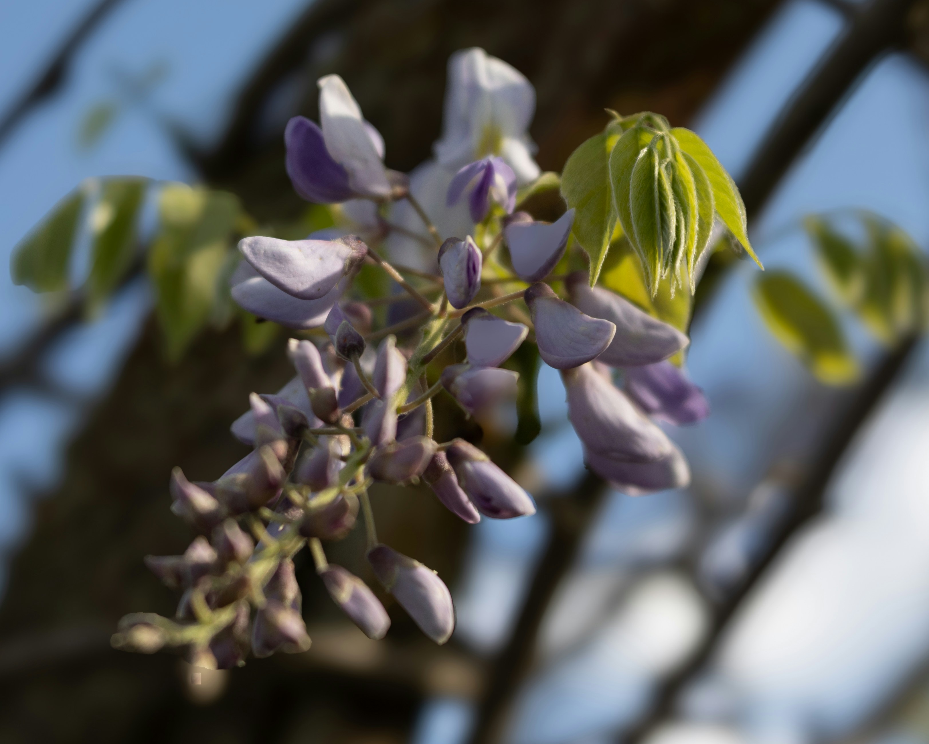 Photo by sixteenmilesout