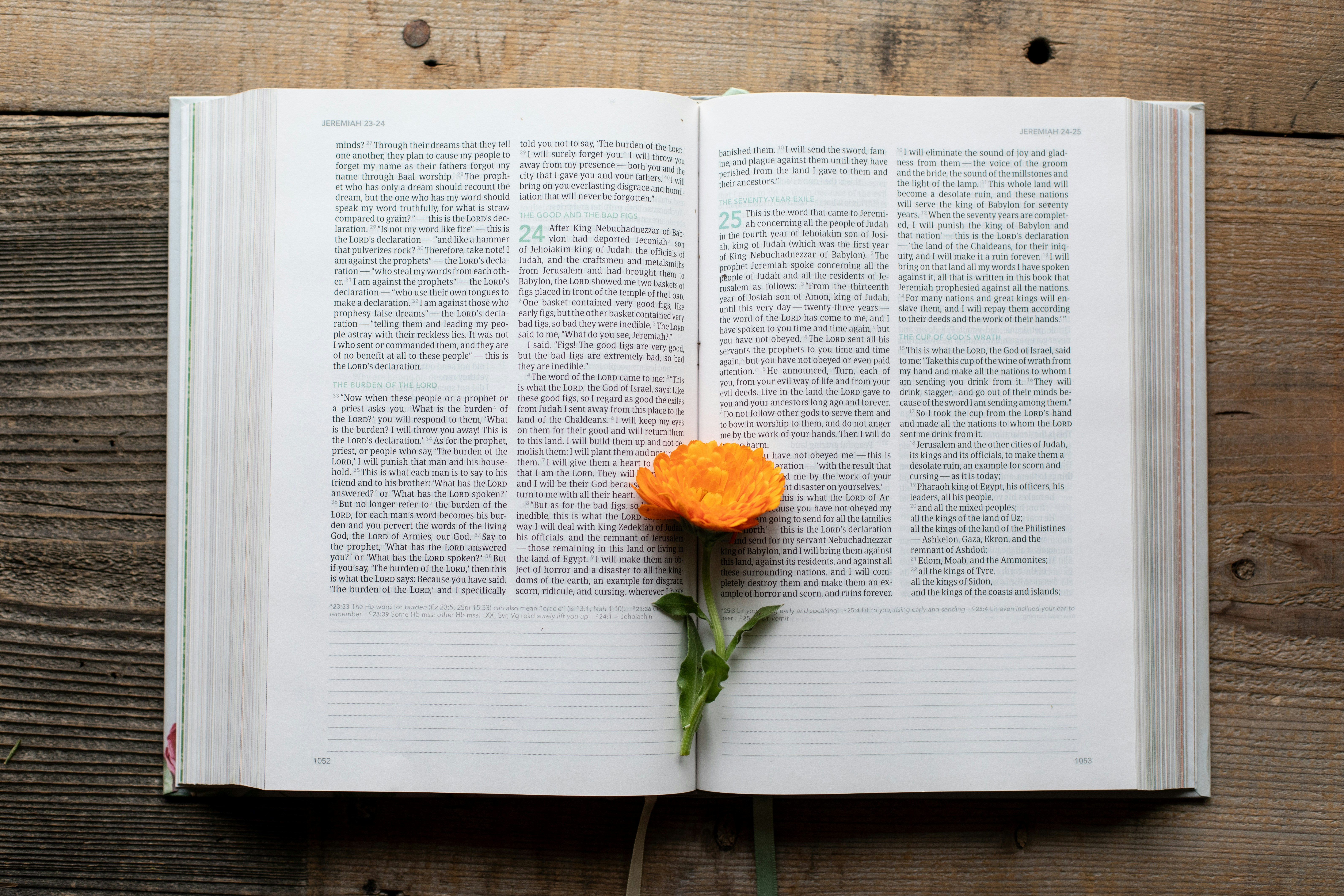 Photo by sixteenmilesout