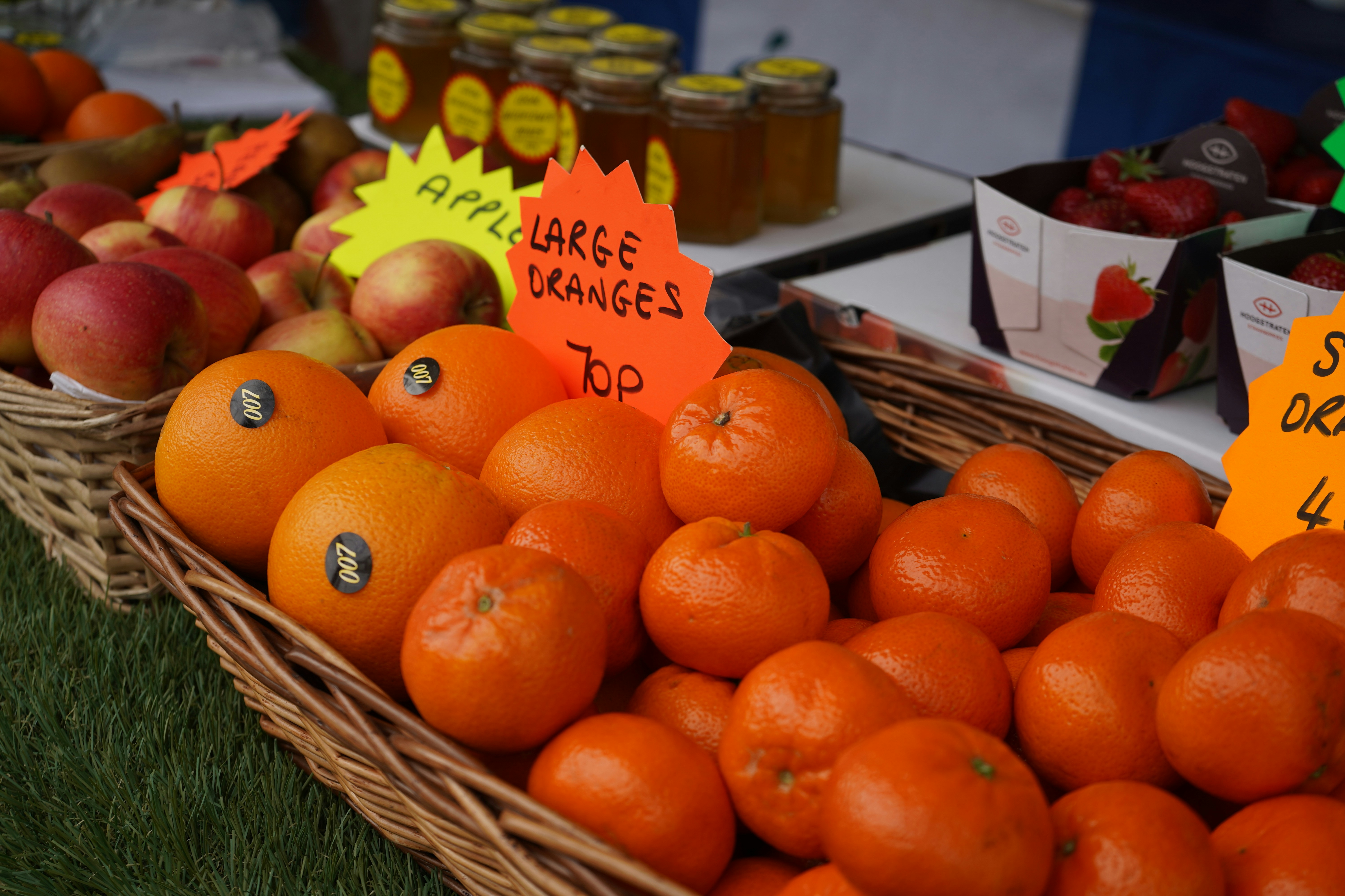 specialty diets special diets schedule — Photo by Geoffrey Moffett on Unsplash