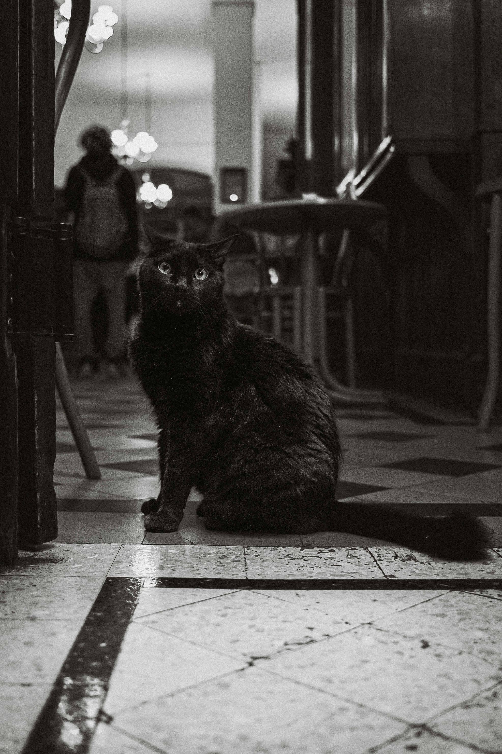 Photo by justalifein