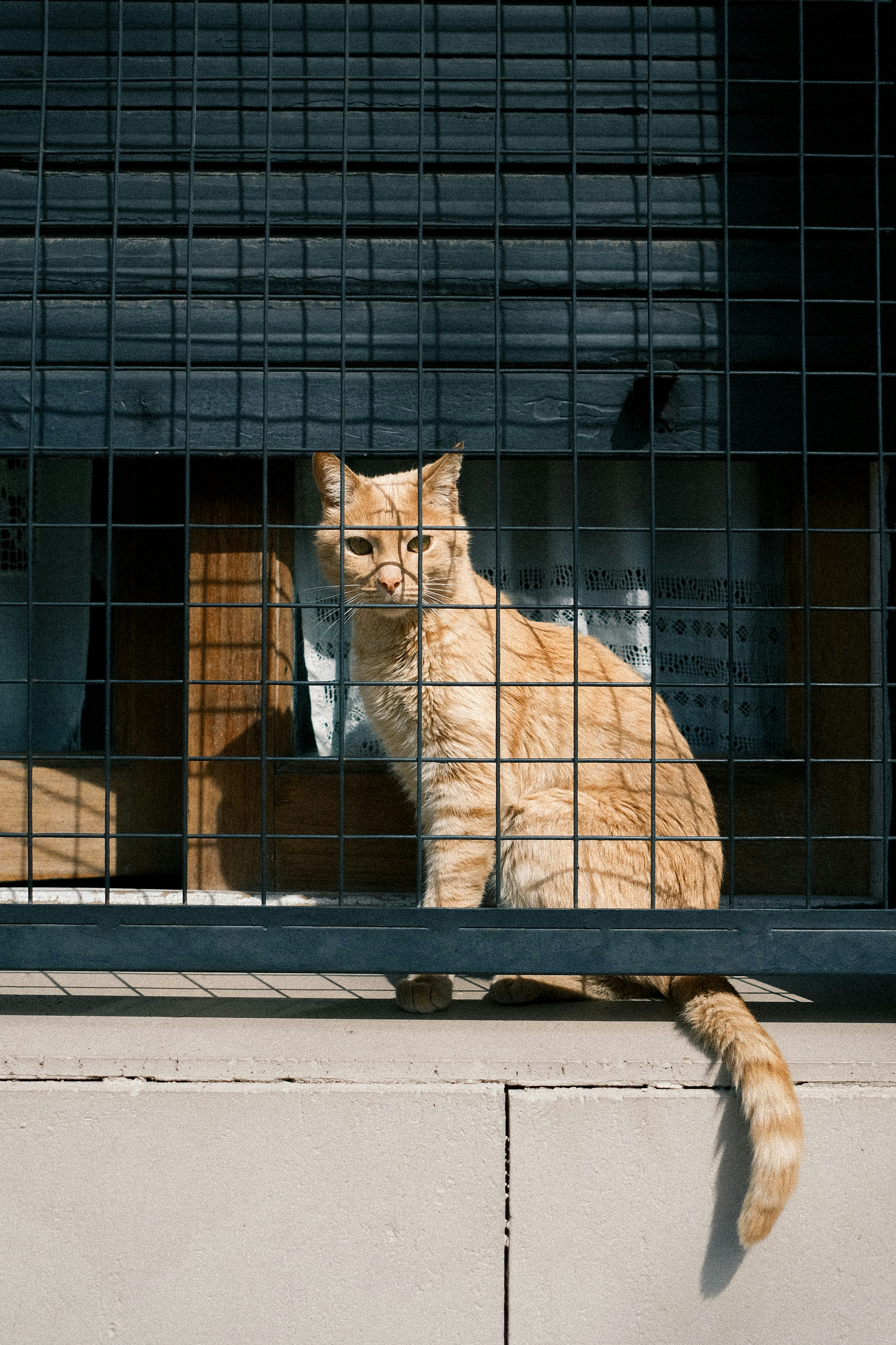 Photo by justalifein