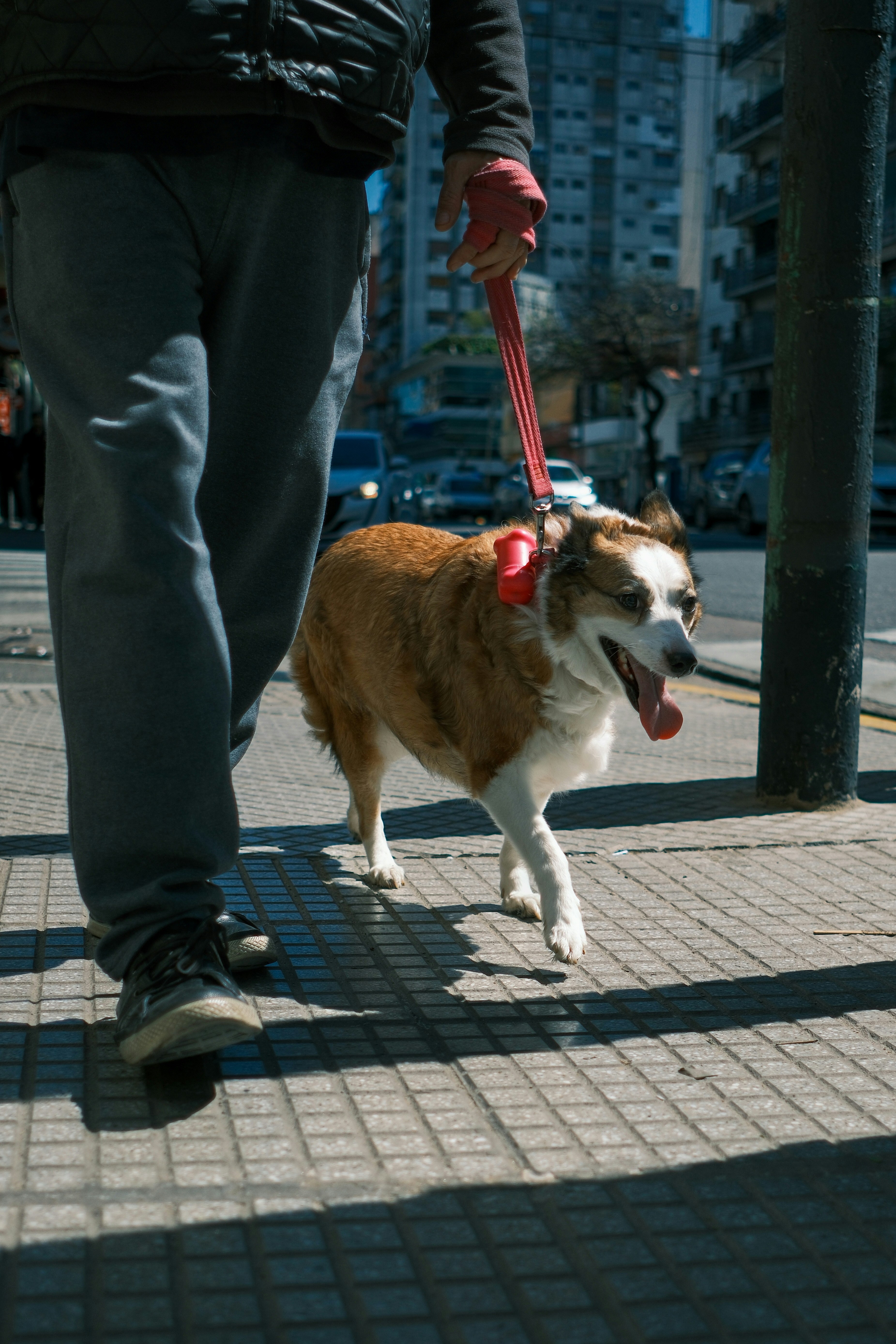 A man walks a dog down a city street.