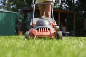 A person is mowing the lawn.