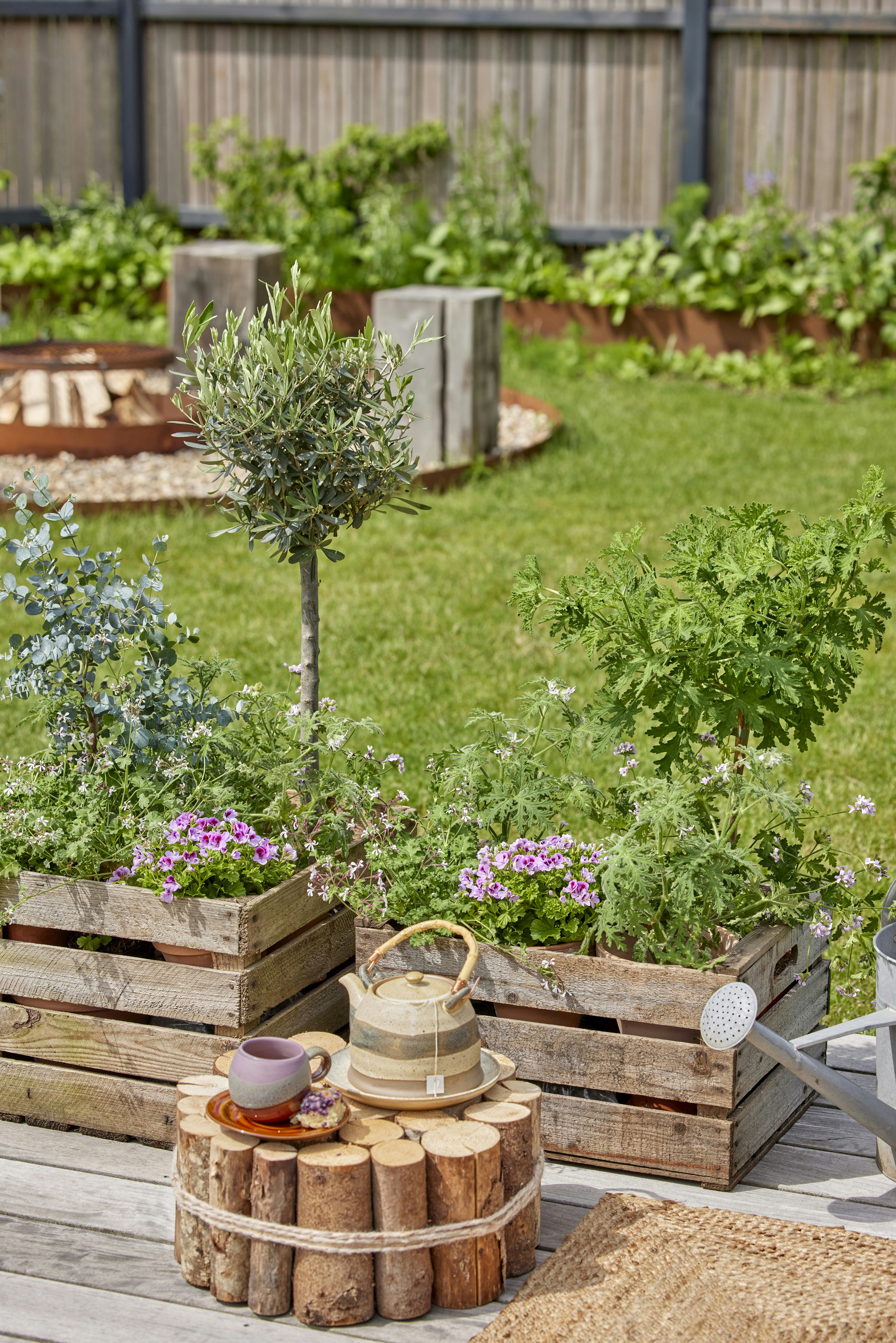 Photo by shaylabruins