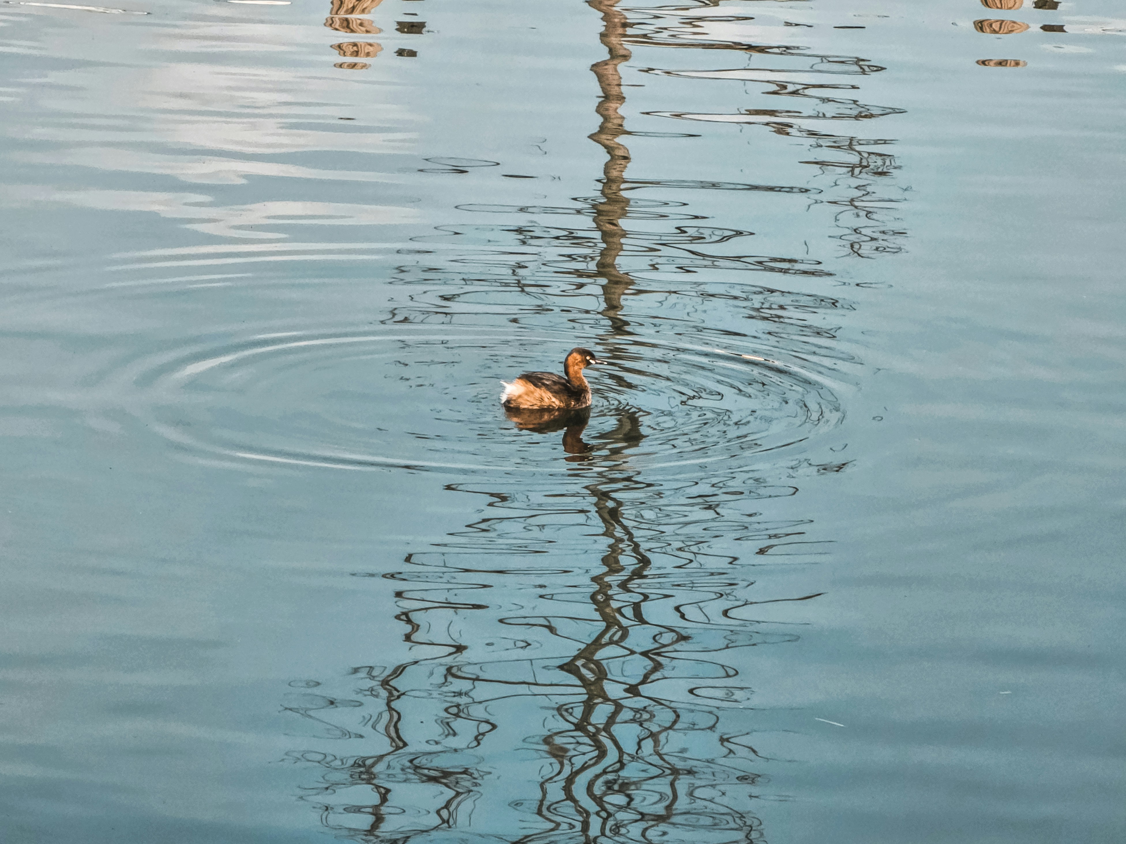 Photo by hypocriteeeee