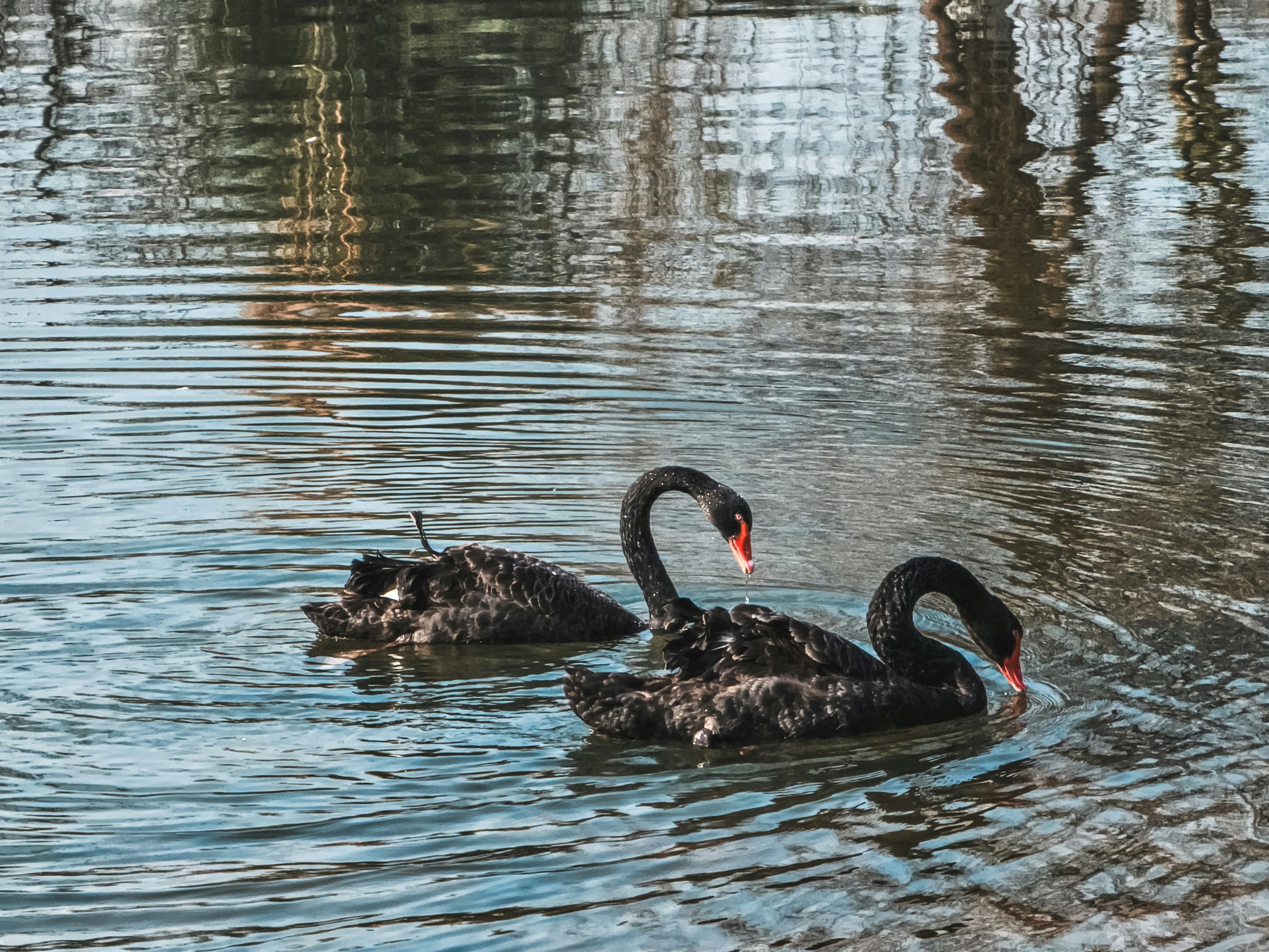 Photo by hypocriteeeee