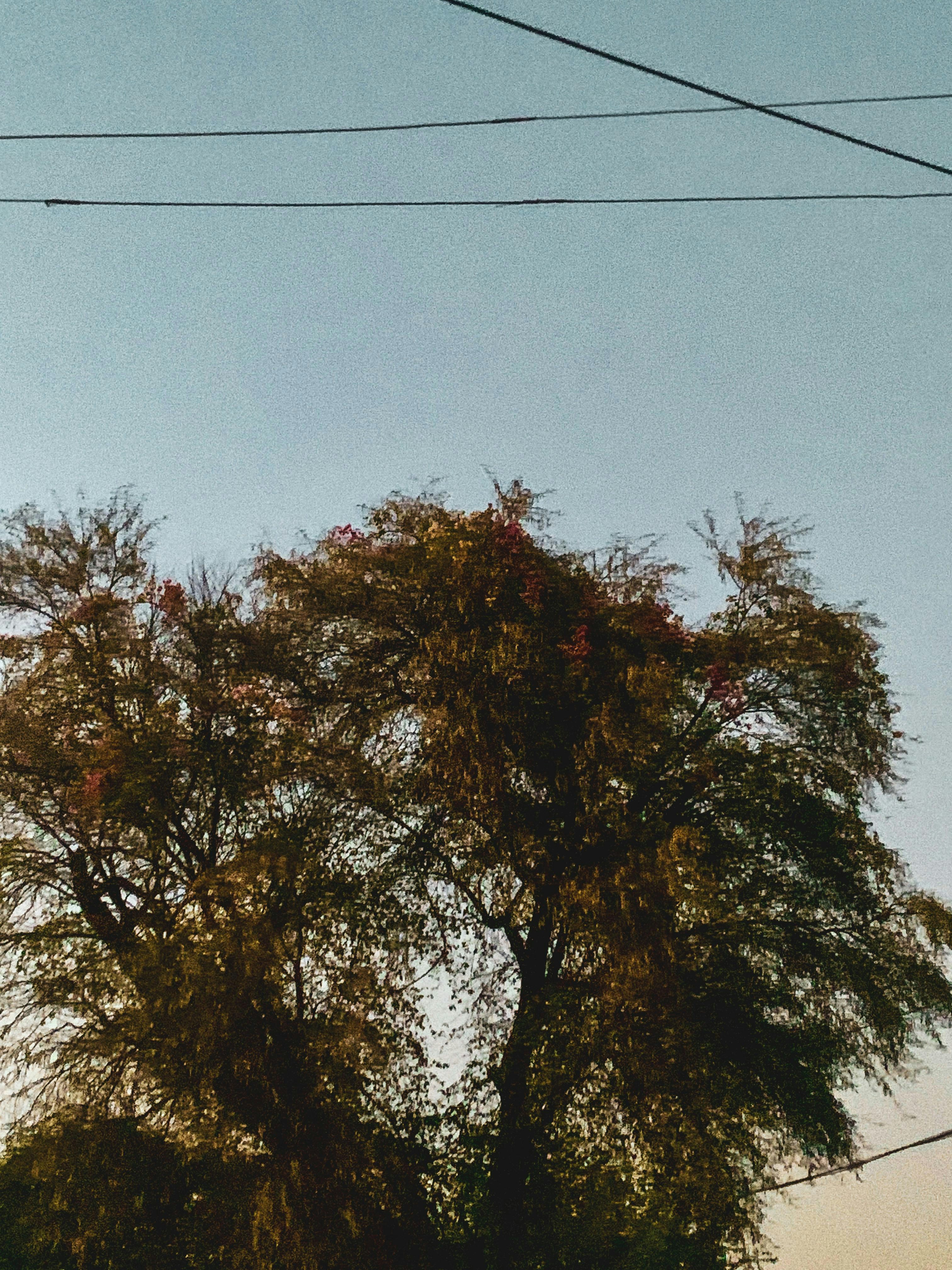 Photo by umaralizai