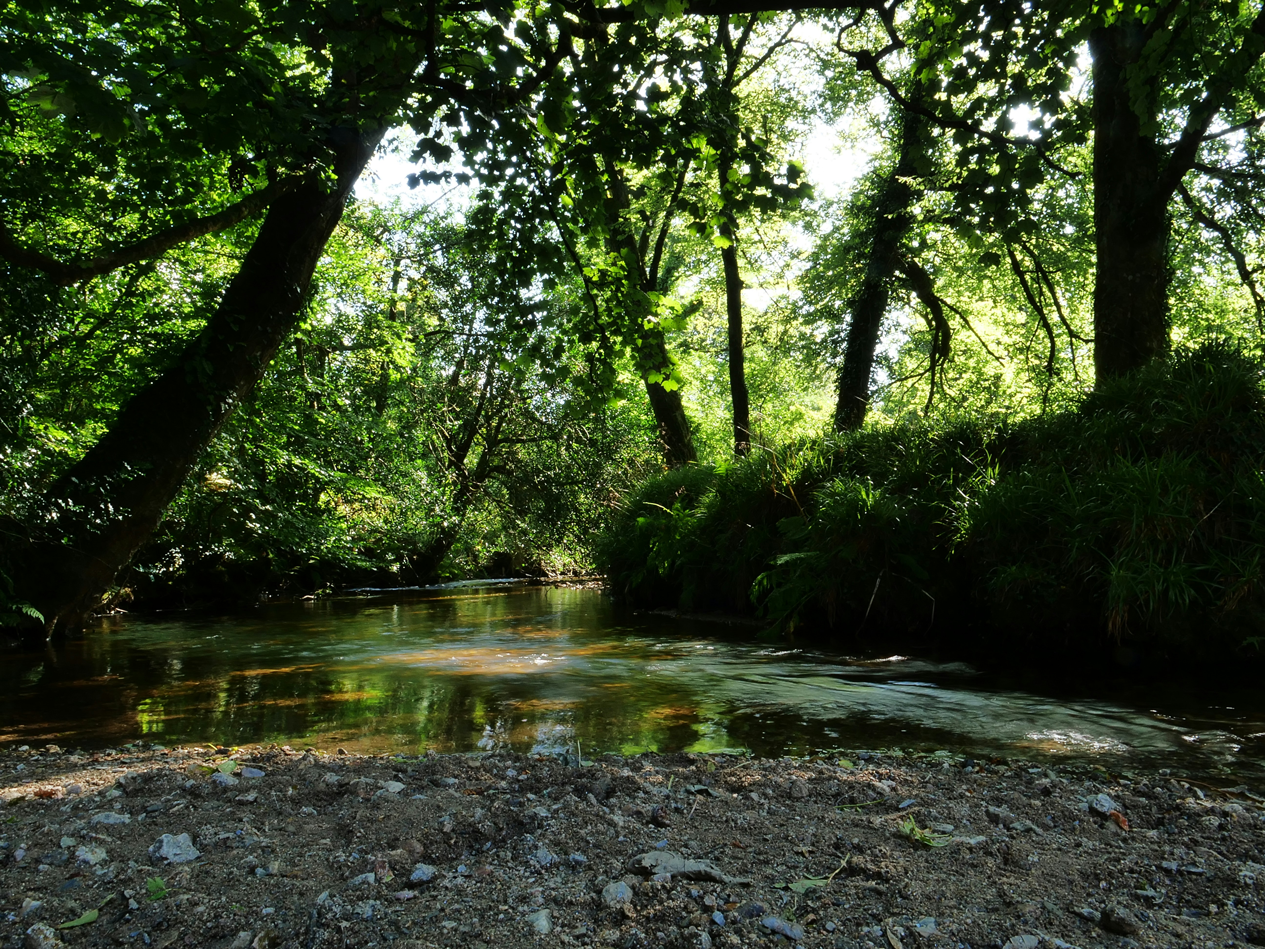 Photo by balmy_sunset