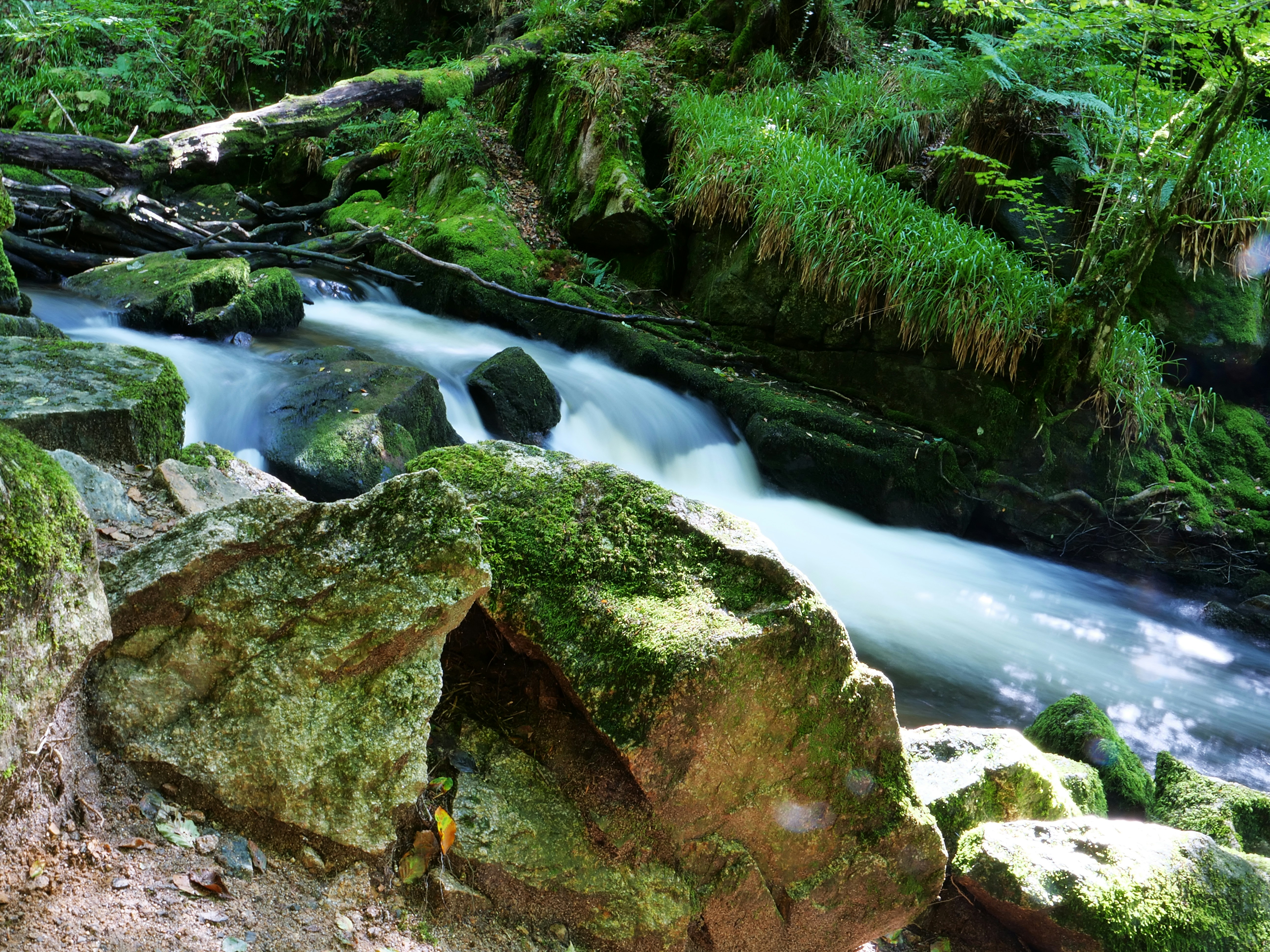 Photo by balmy_sunset