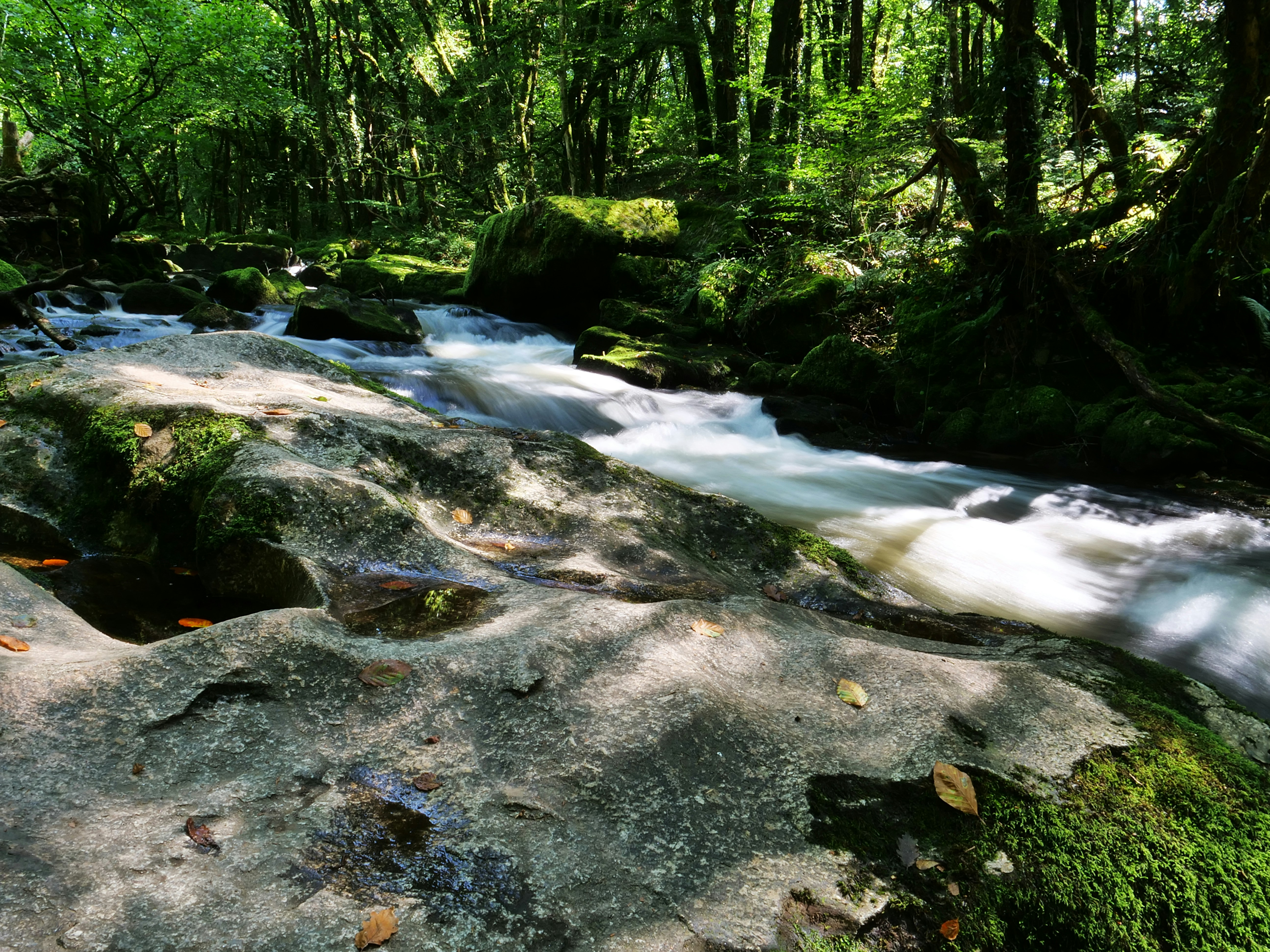 Photo by balmy_sunset