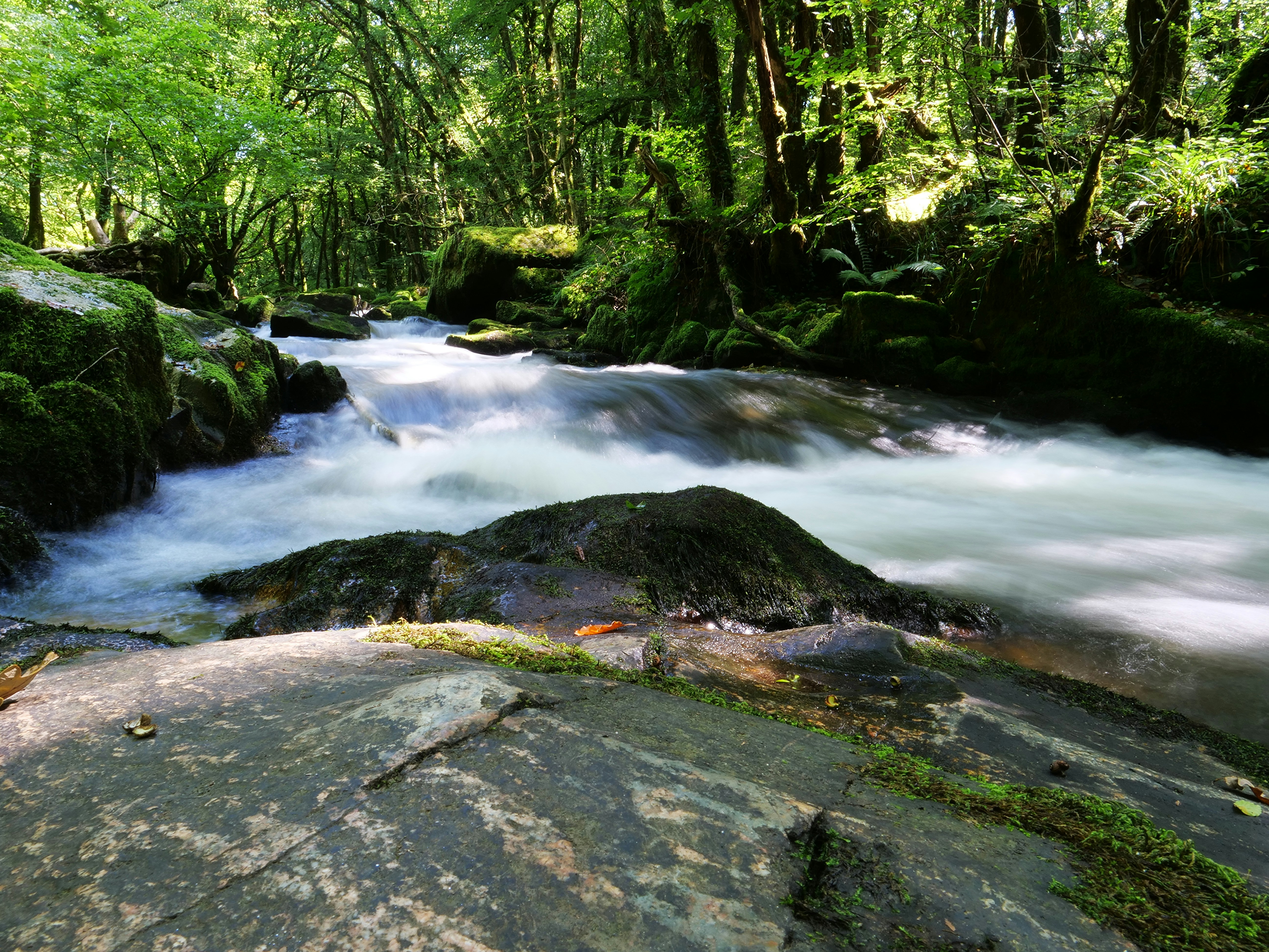 Photo by balmy_sunset