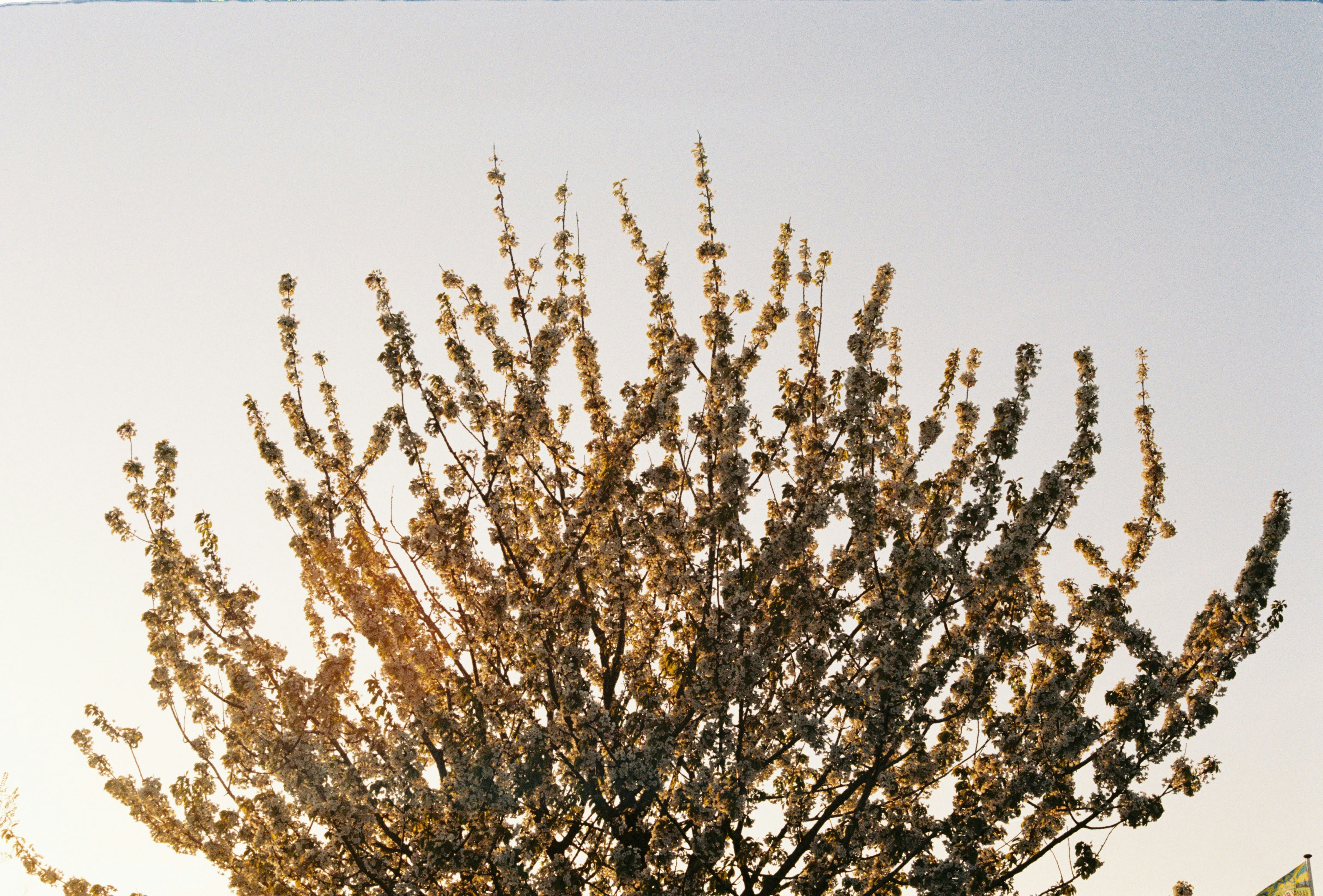 Photo by chrisvomradio