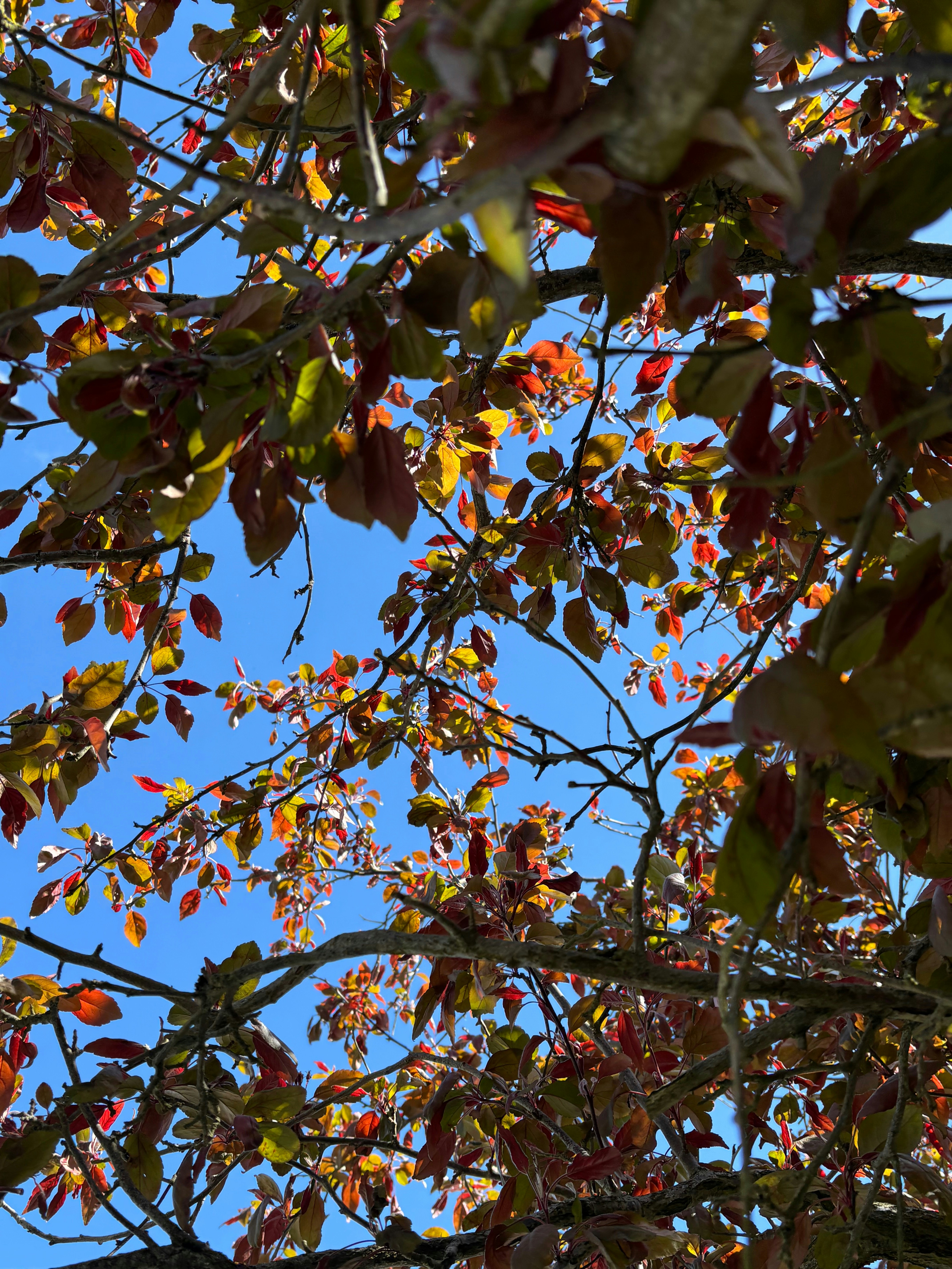 Photo by msmelaniesykes