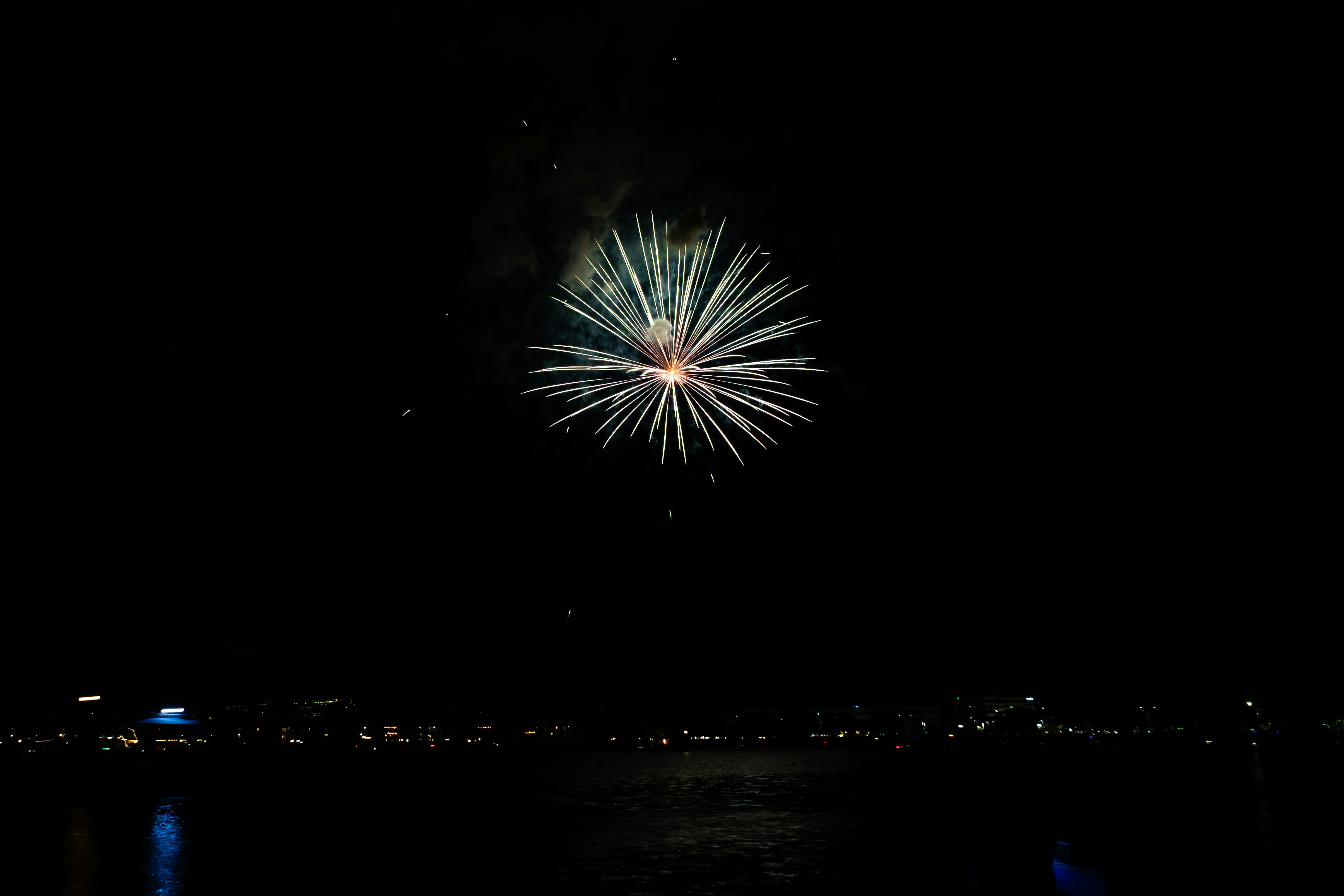 Fireworks explode in the dark night sky.