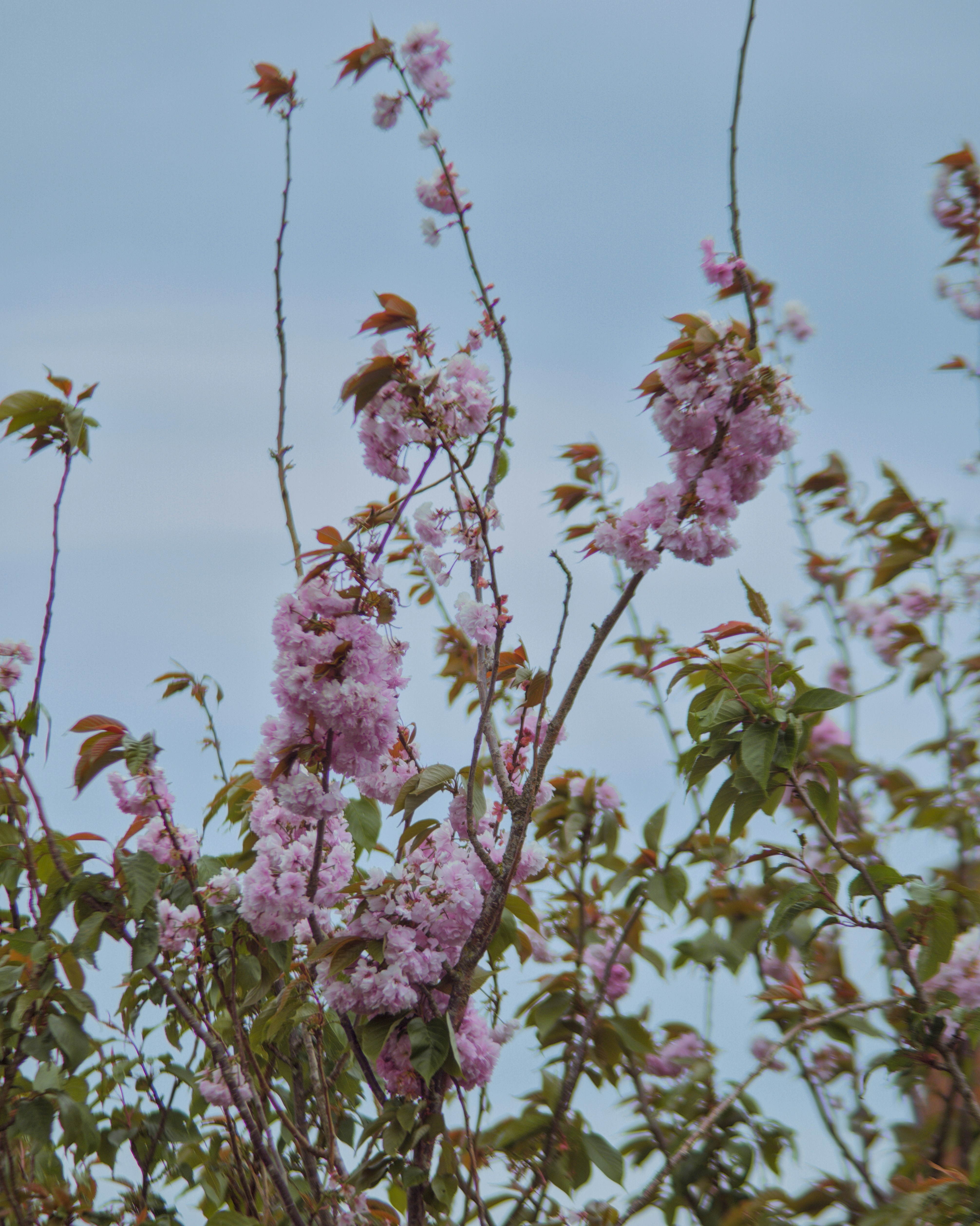 Photo by dotdavisphotography