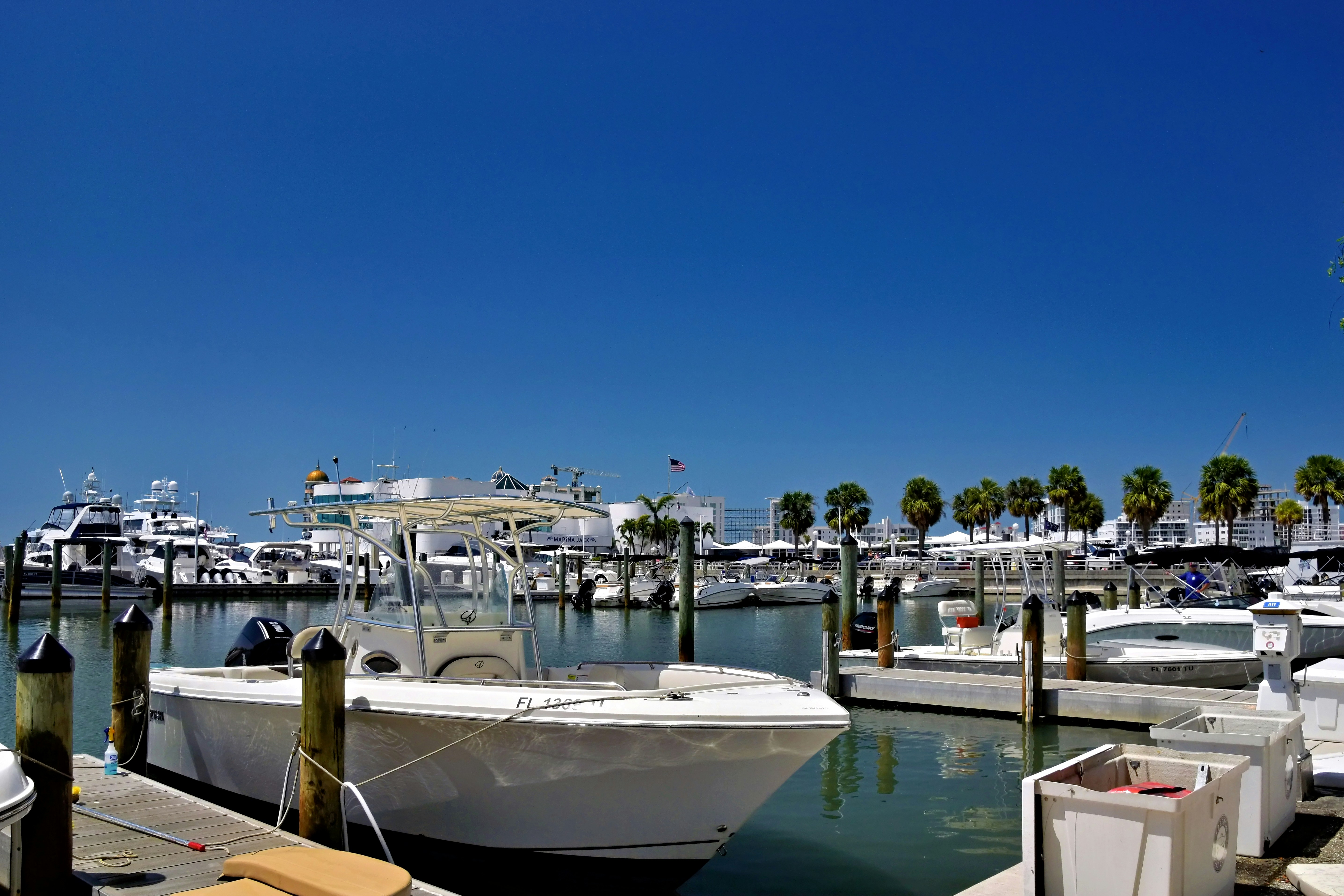 Marina with palm trees and motorboats