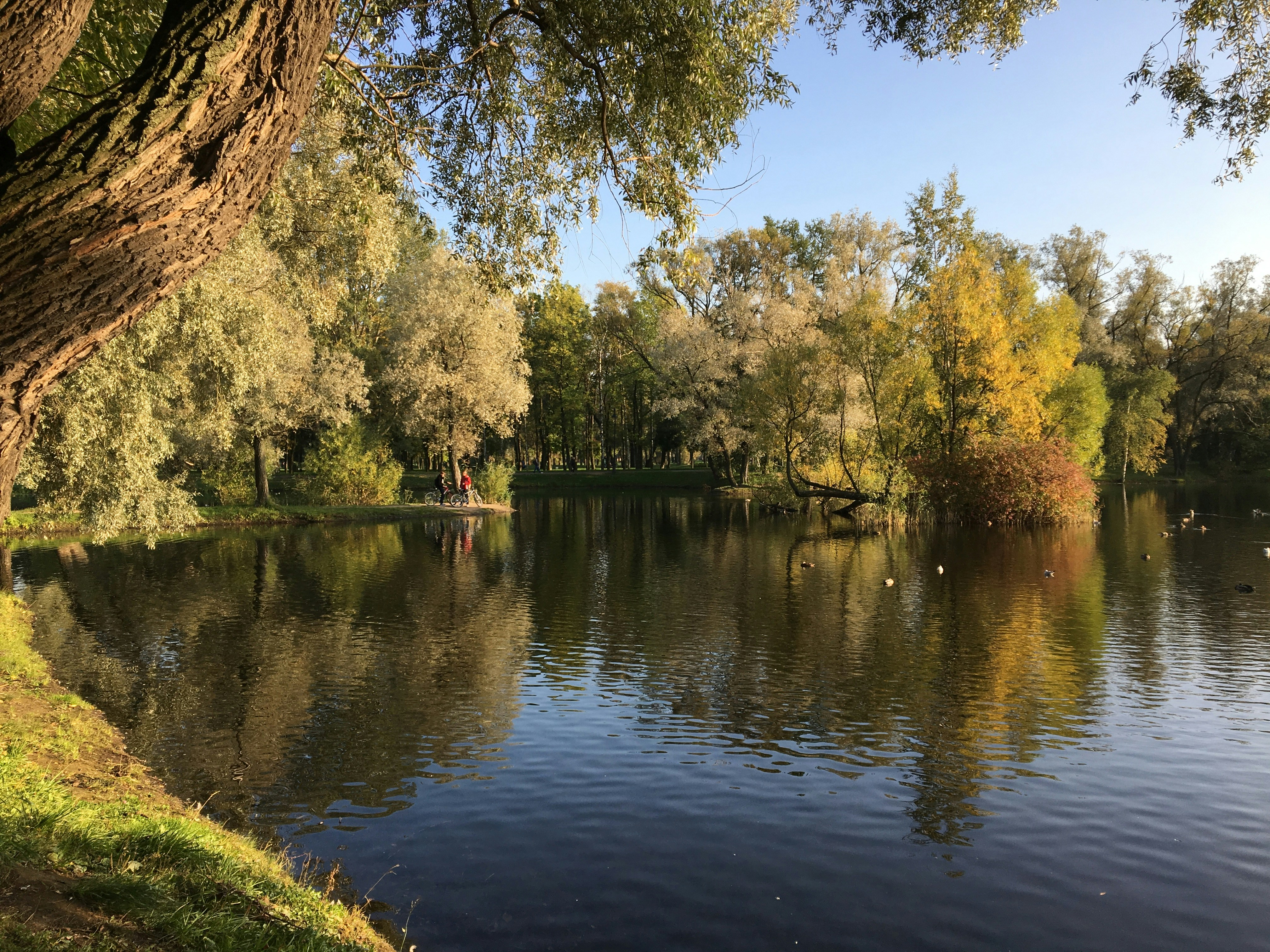 Photo by dmitriis320