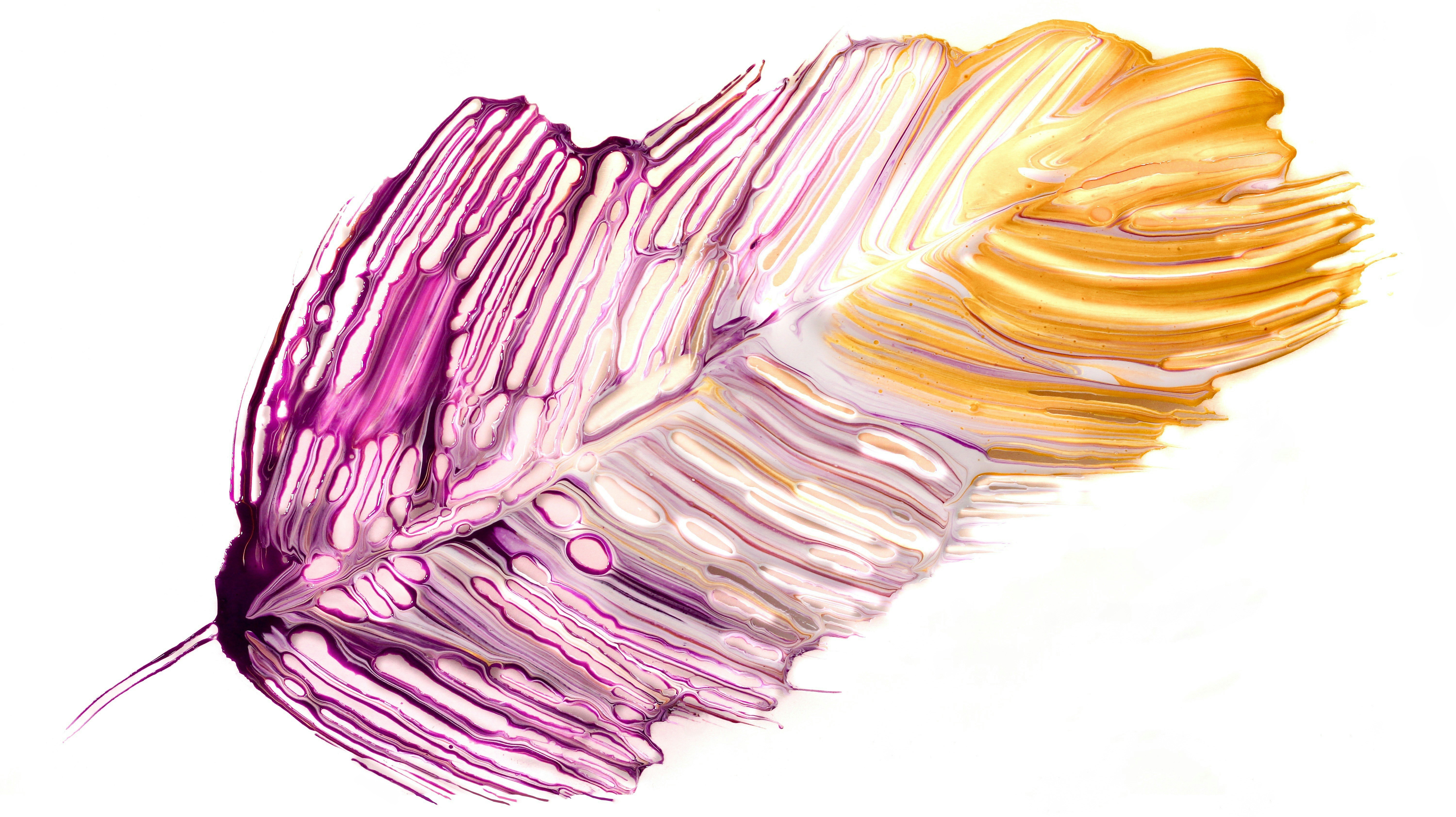 Photo by susan_wilkinson