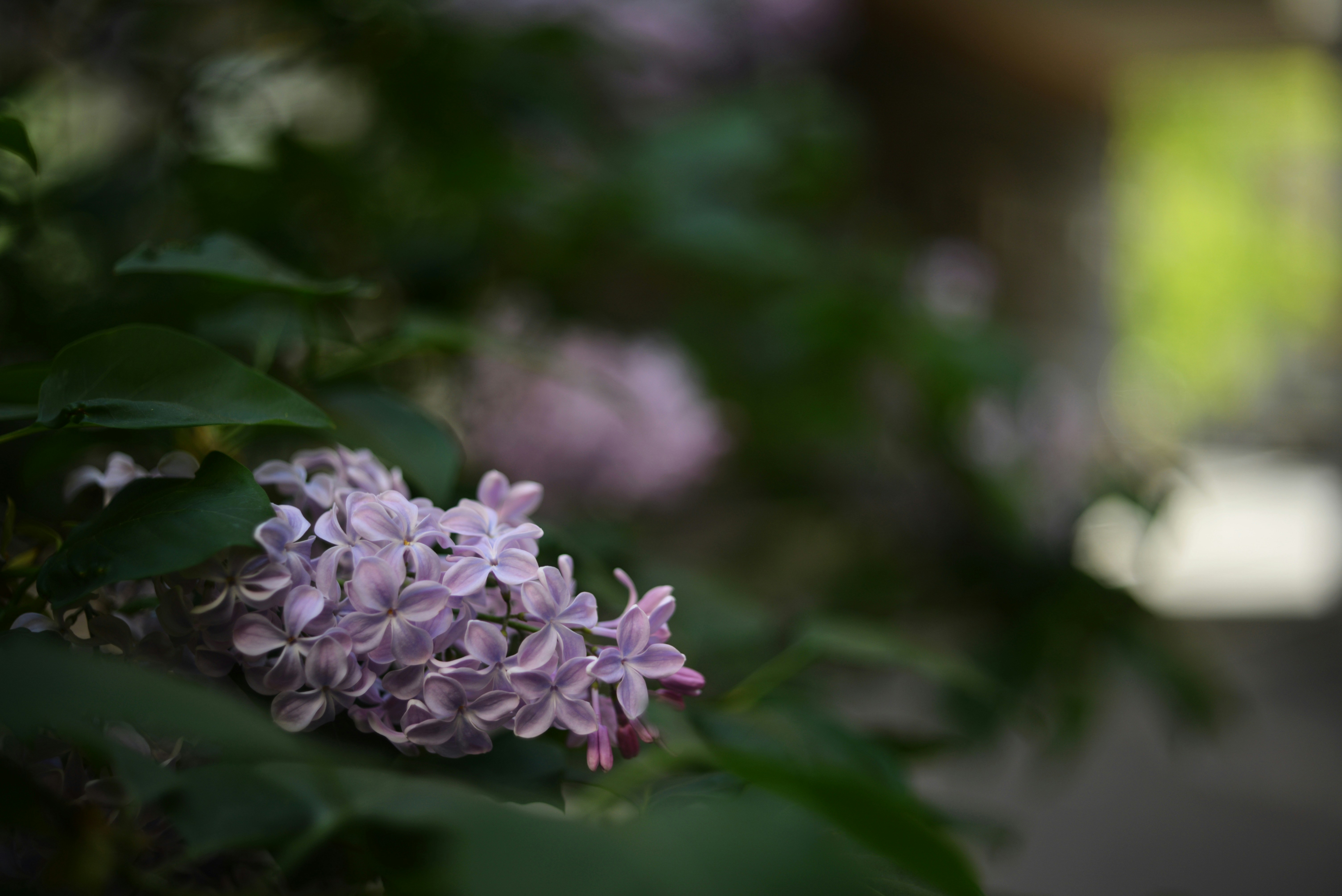 Photo by cherstve_pechivo