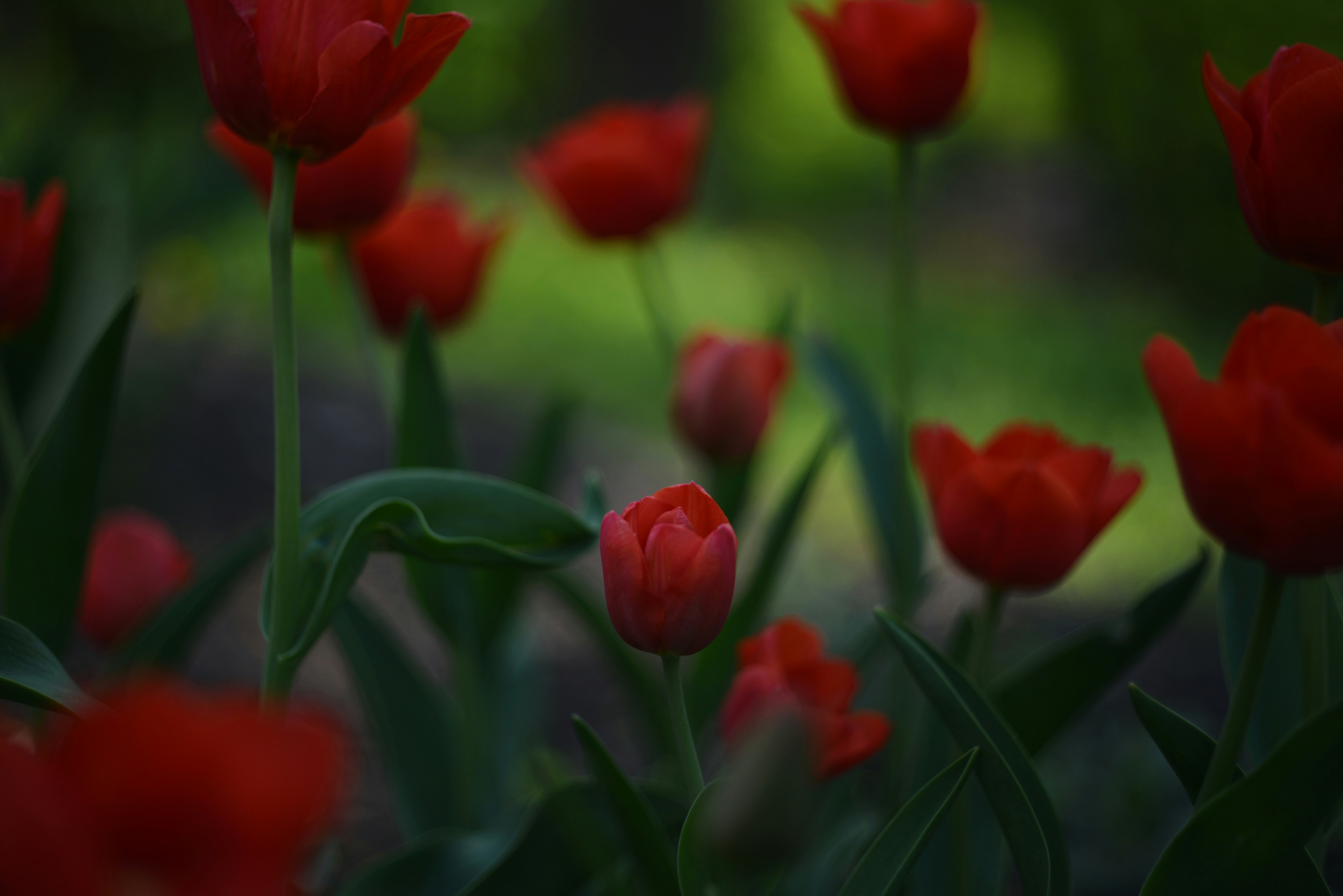 Photo by cherstve_pechivo