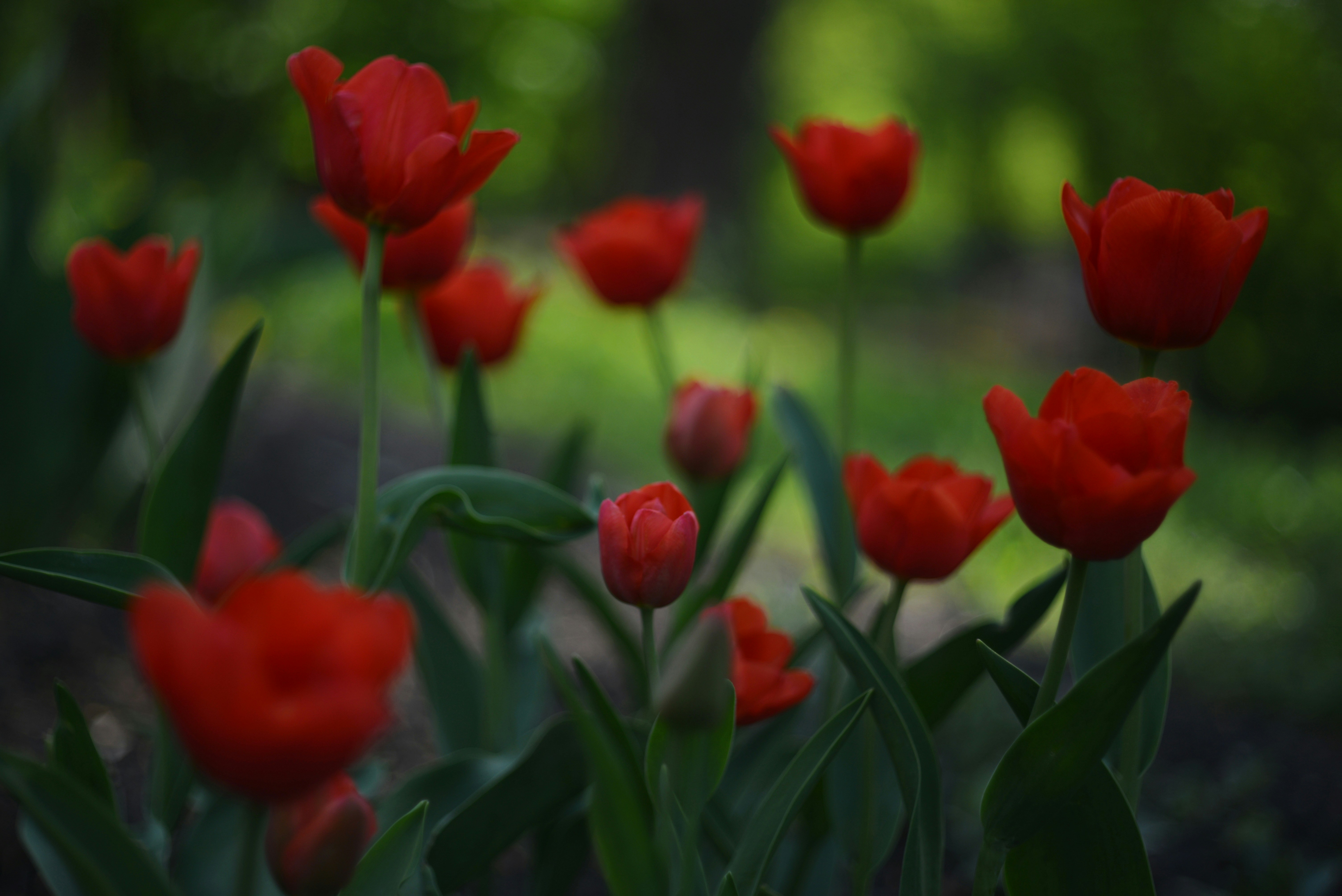 Photo by cherstve_pechivo