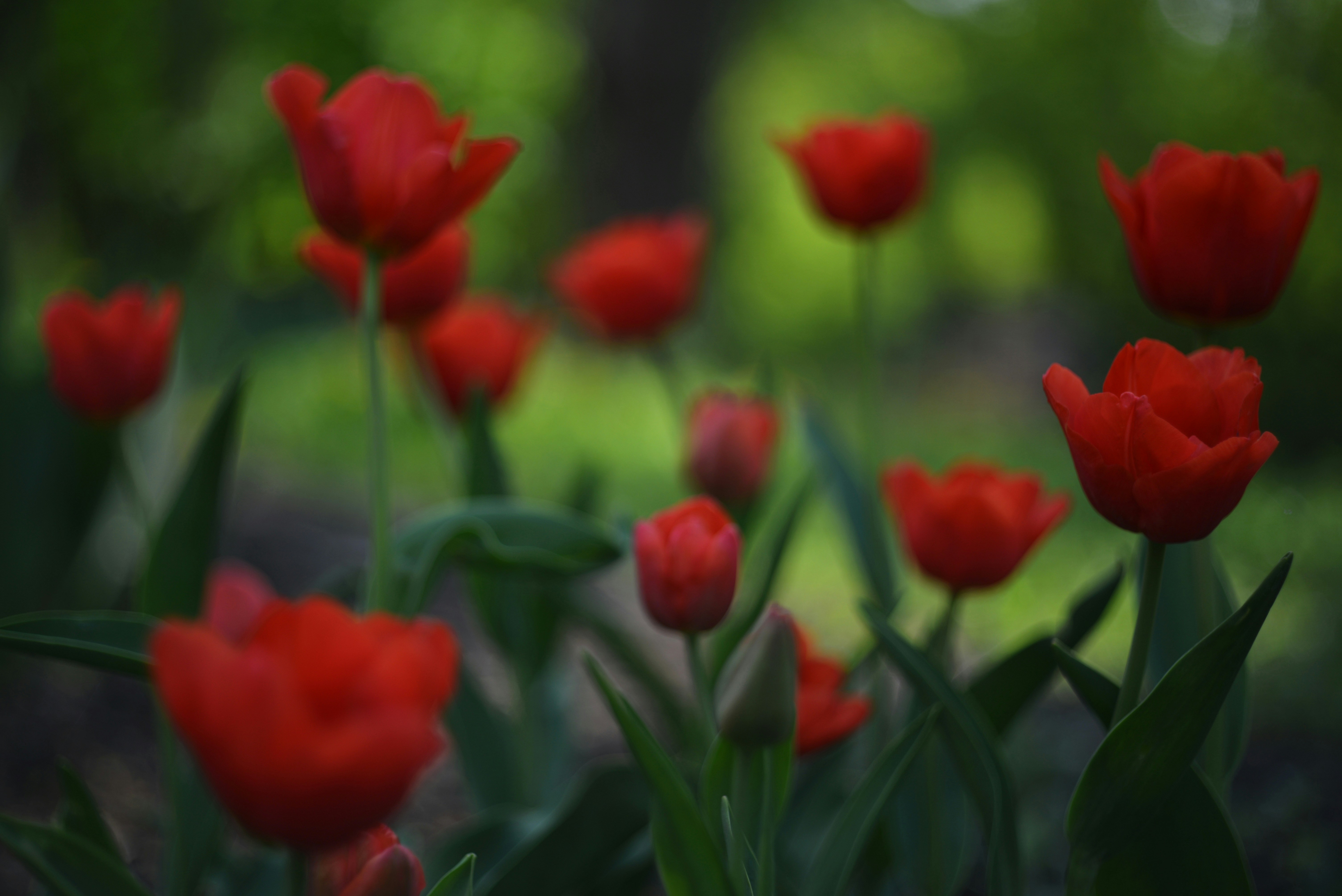 Photo by cherstve_pechivo