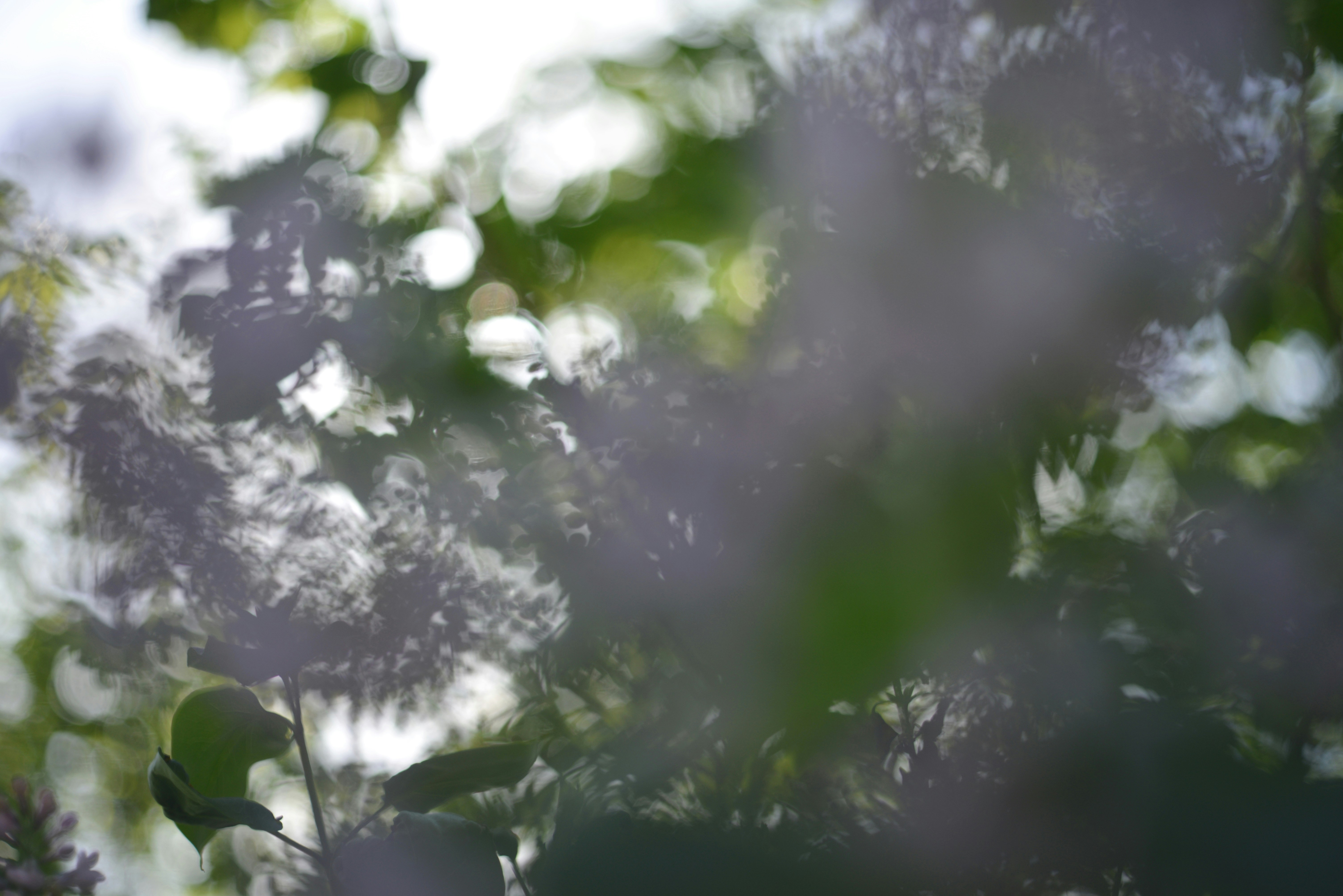 Photo by cherstve_pechivo