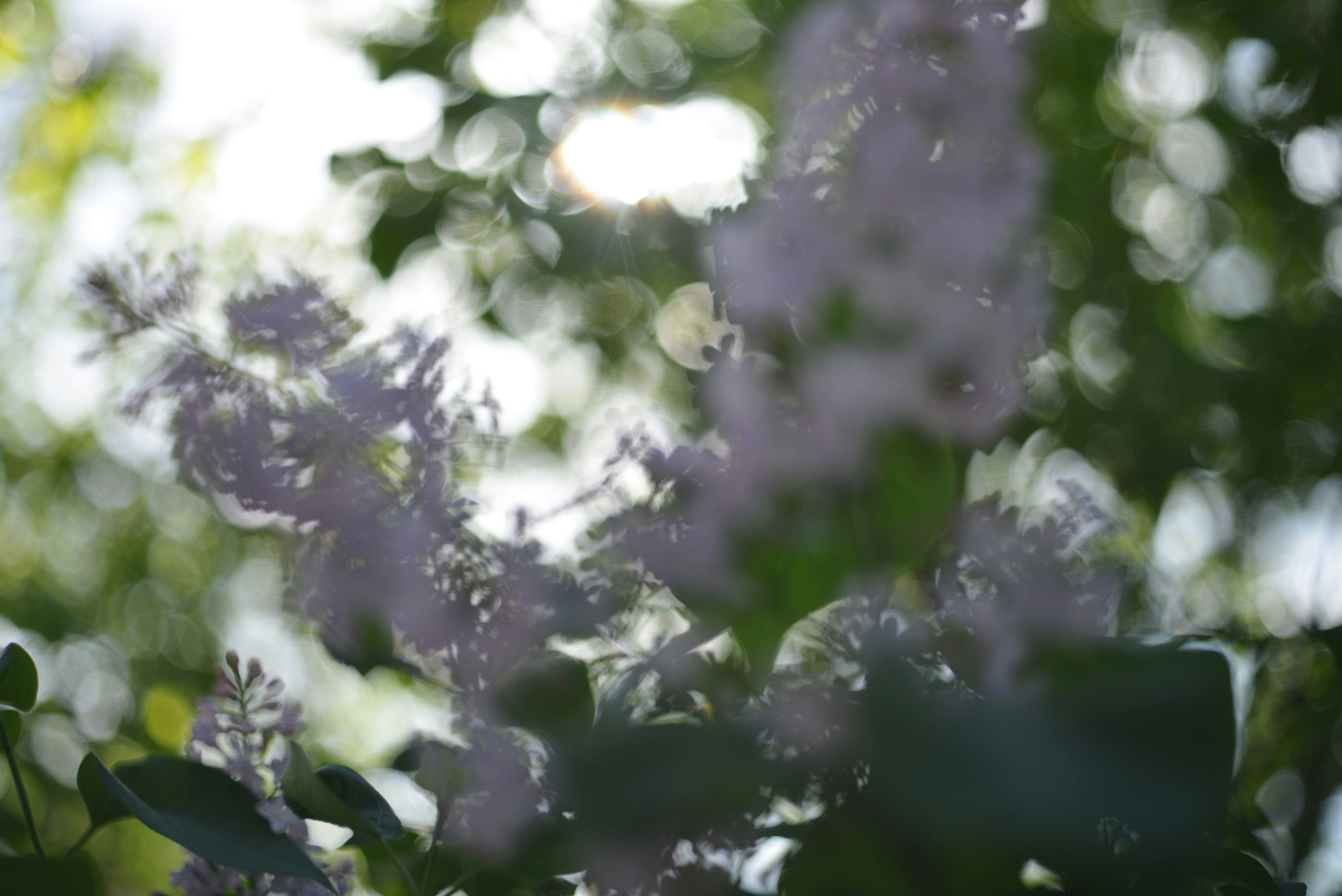 Photo by cherstve_pechivo