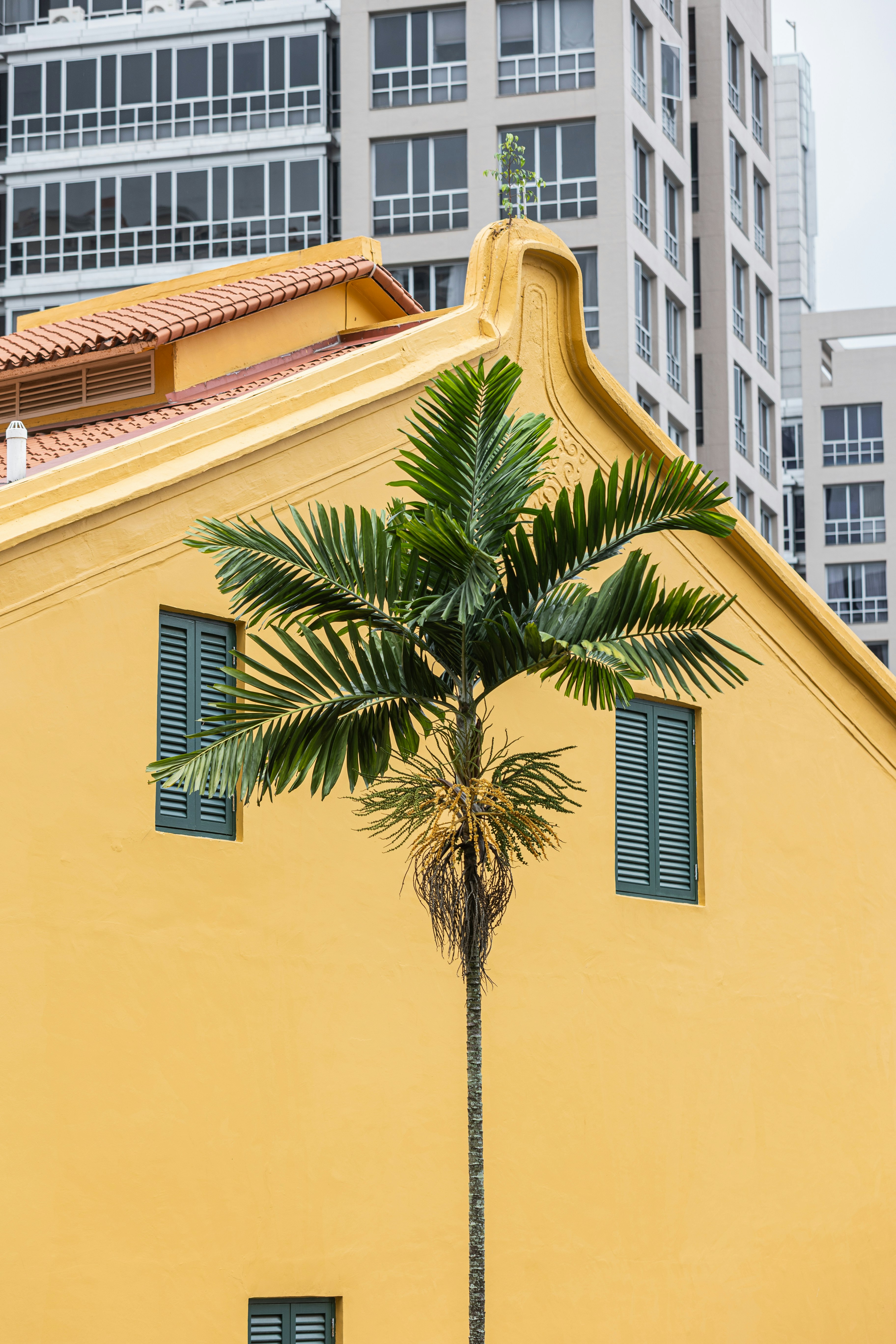 "Pineapple Guesthouse"
