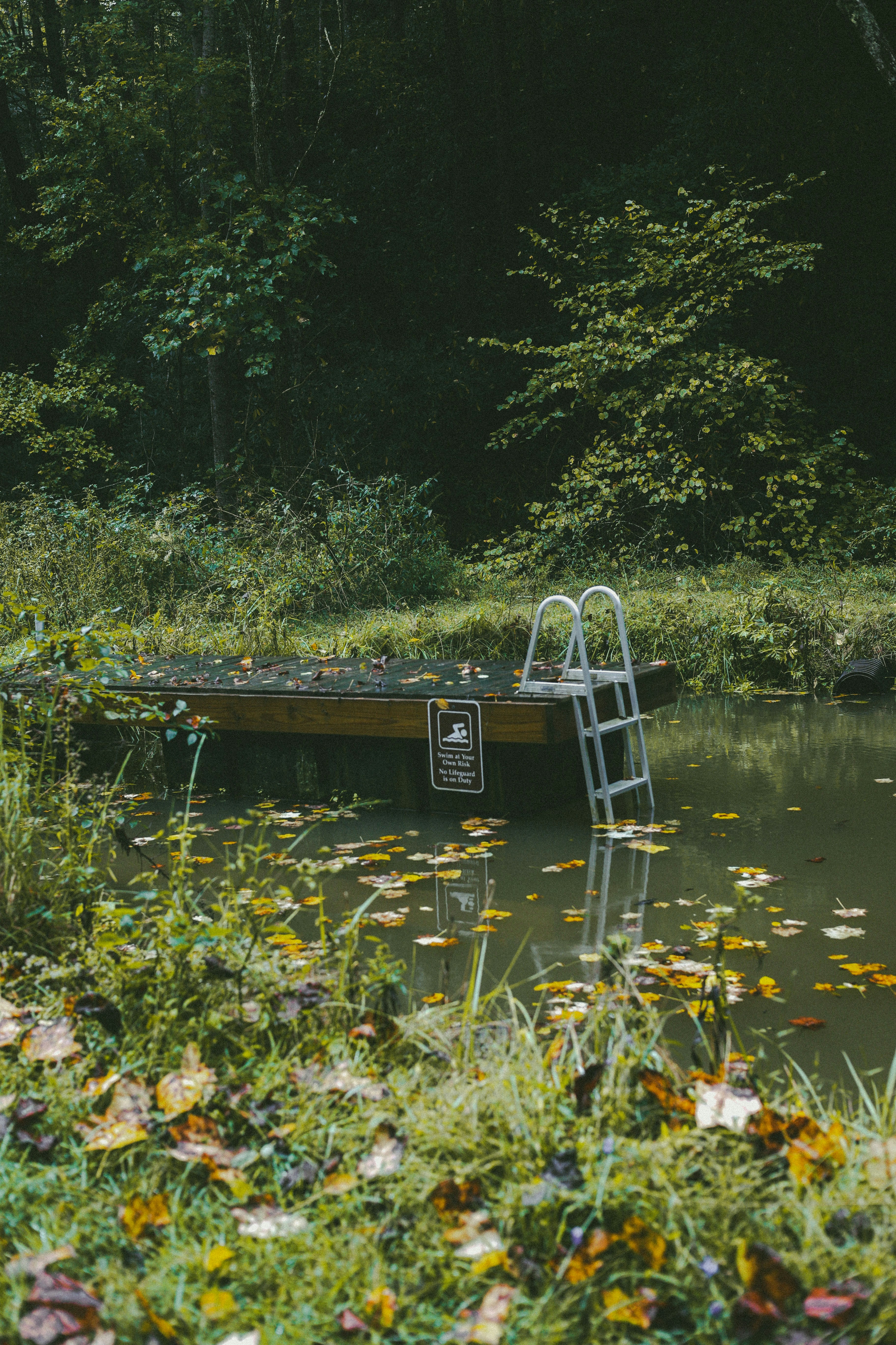 Photo by brookebalentine