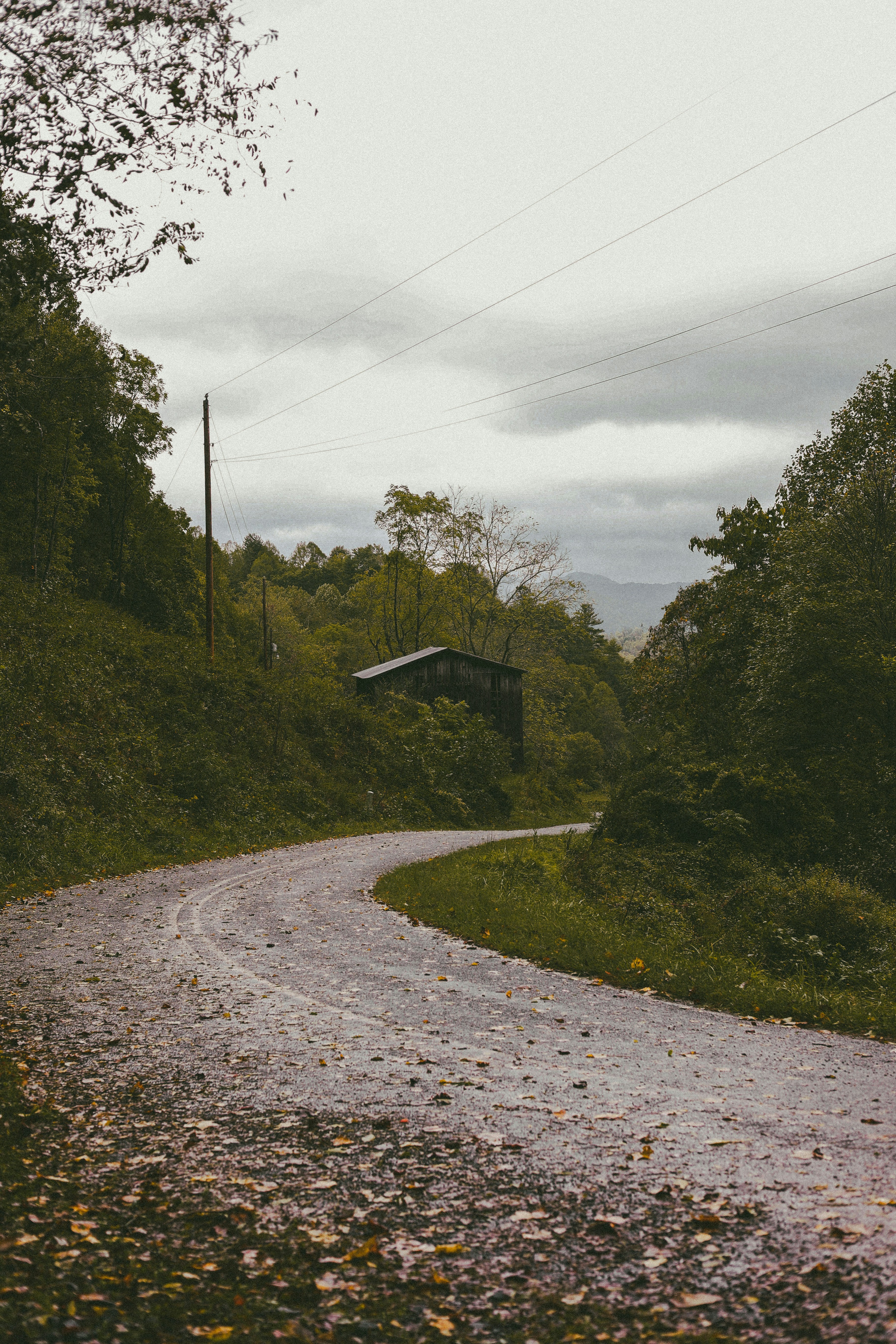 Photo by brookebalentine