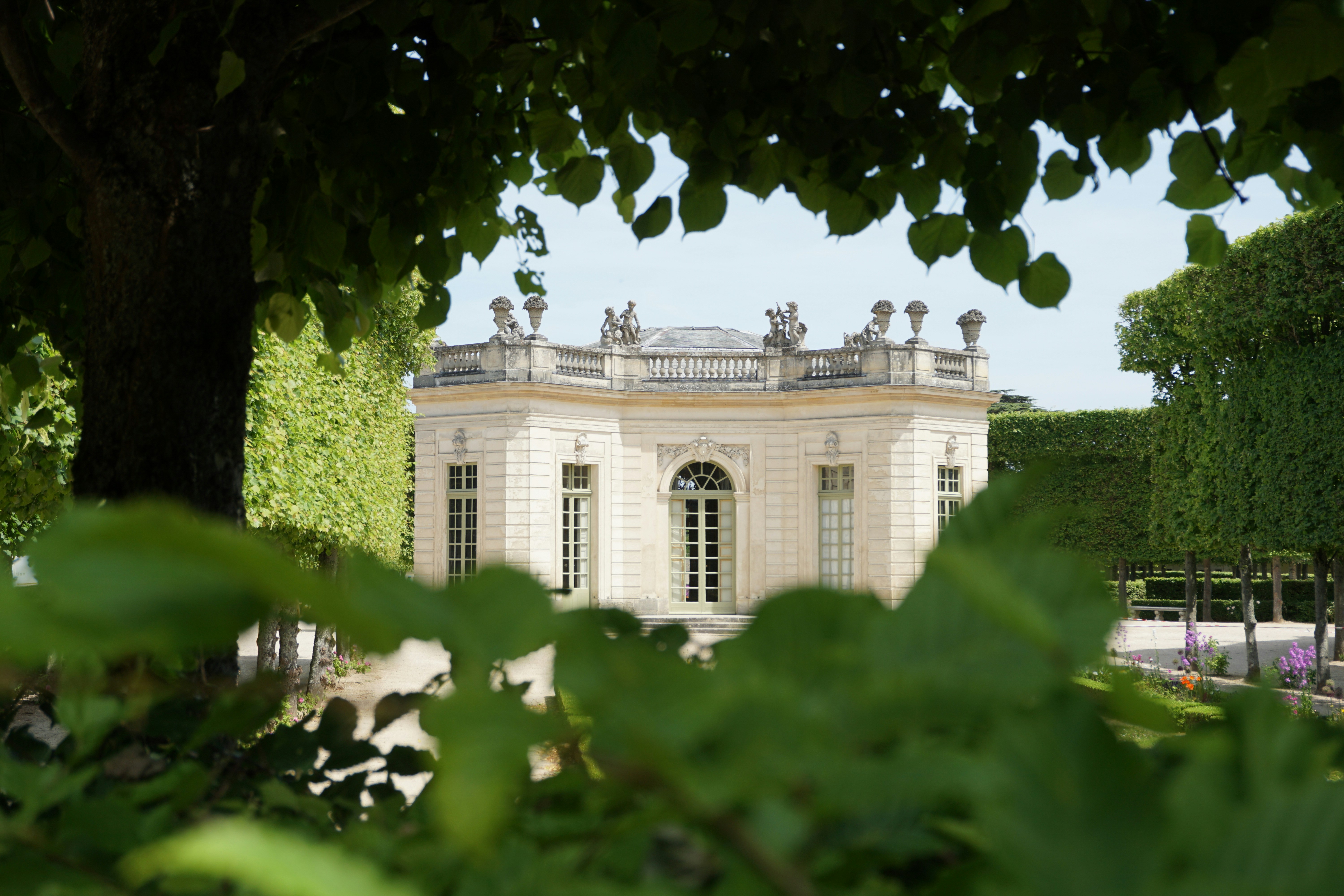 Photo by ingo_scheffer