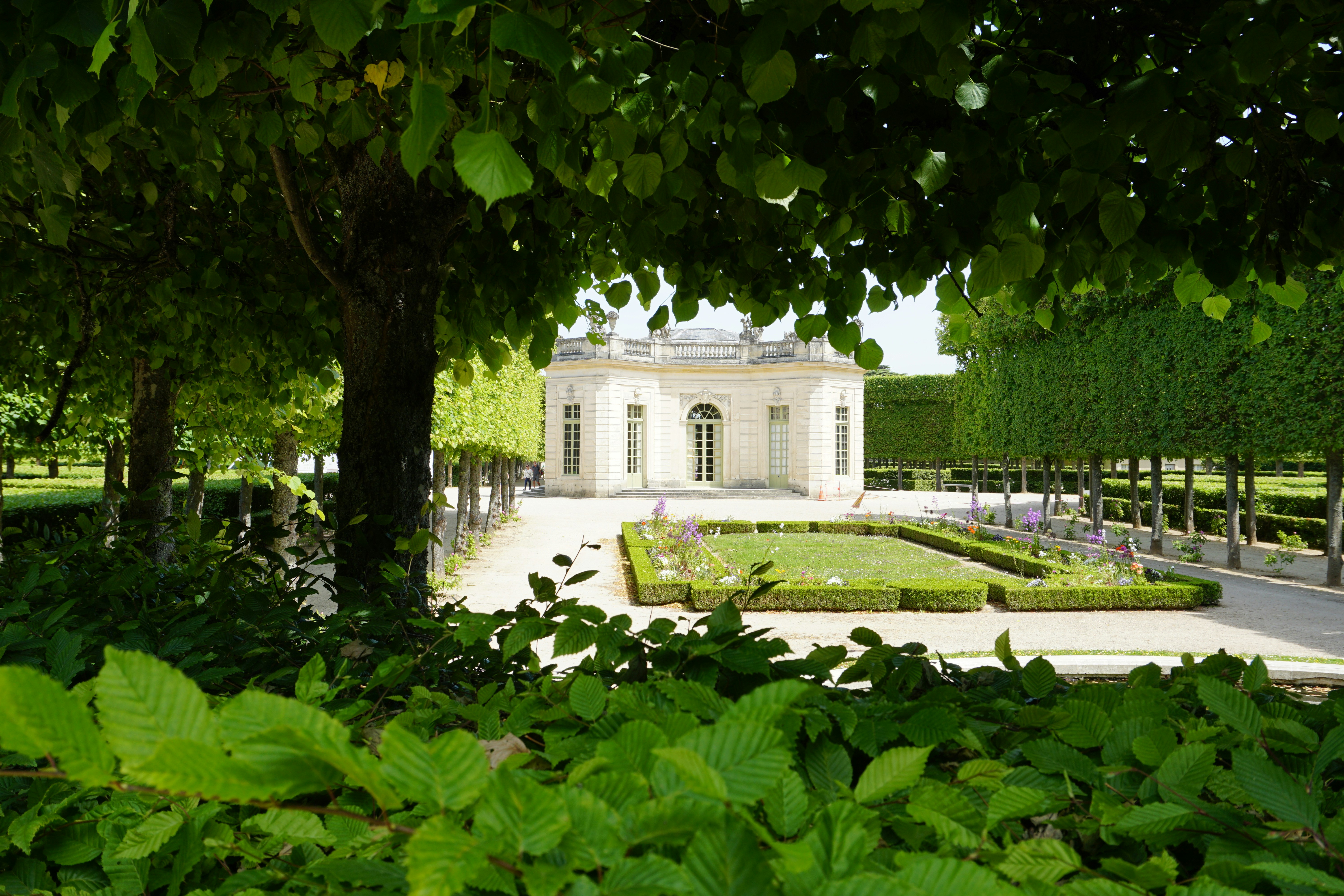 Photo by ingo_scheffer