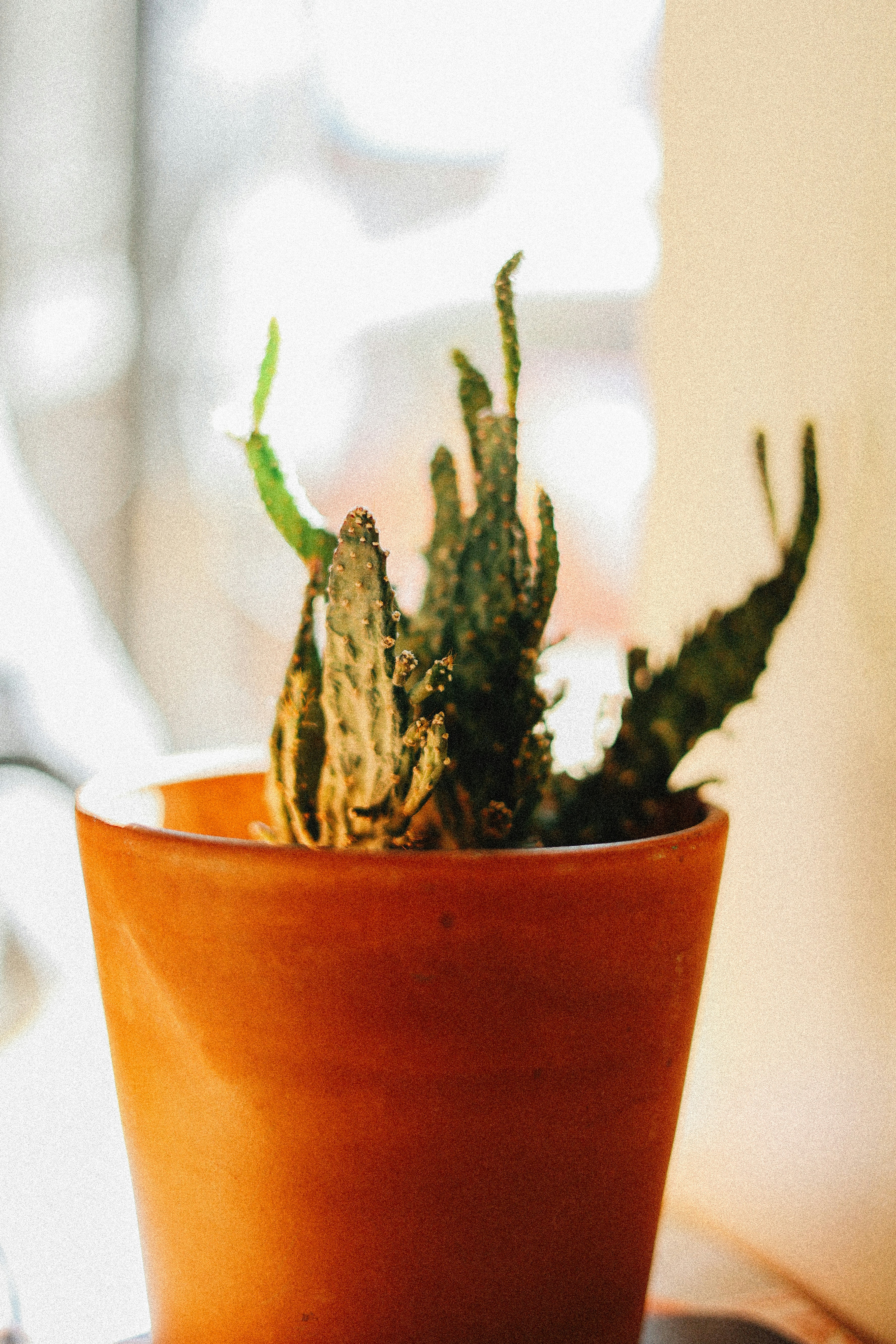 Photo by brookebalentine