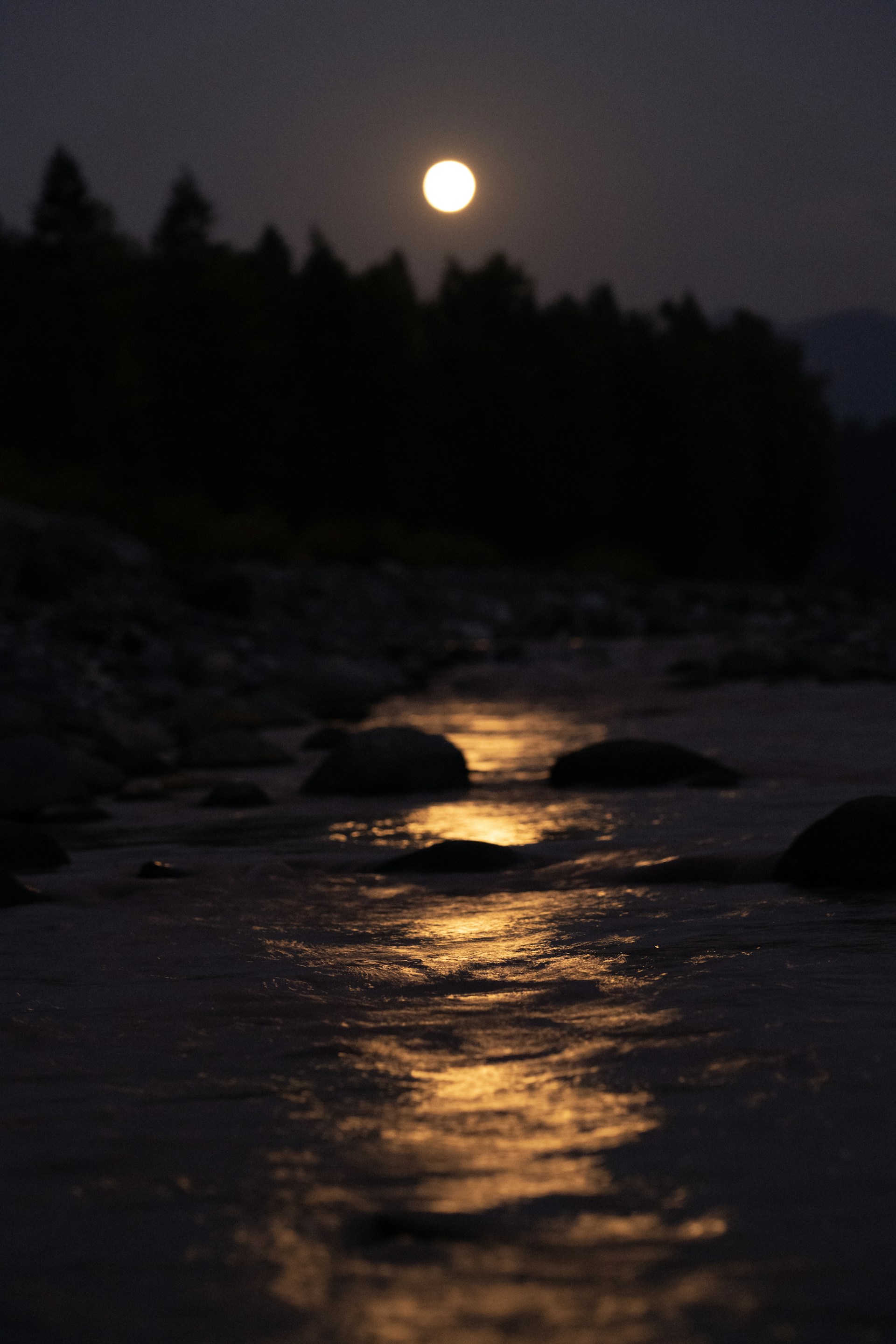 Moonlight reflects off a river's surface at night.