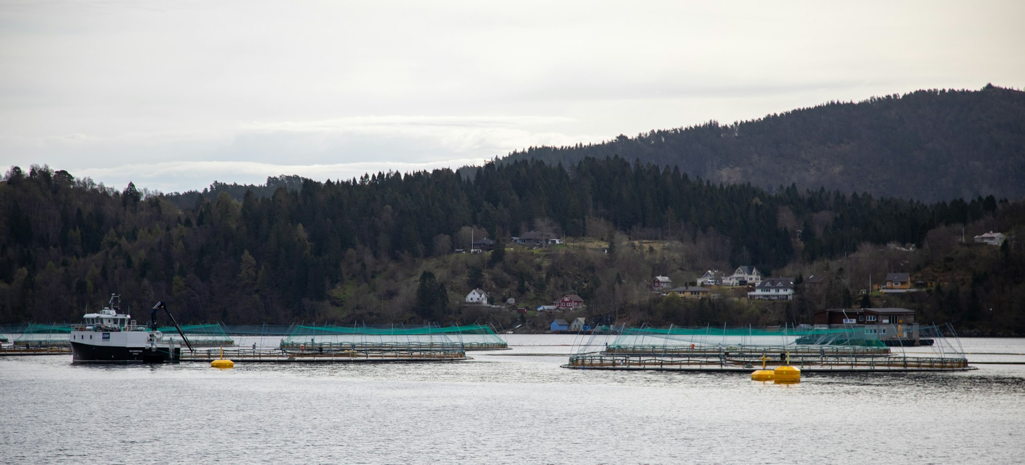 Fish farm structures in the water with a distant mountain