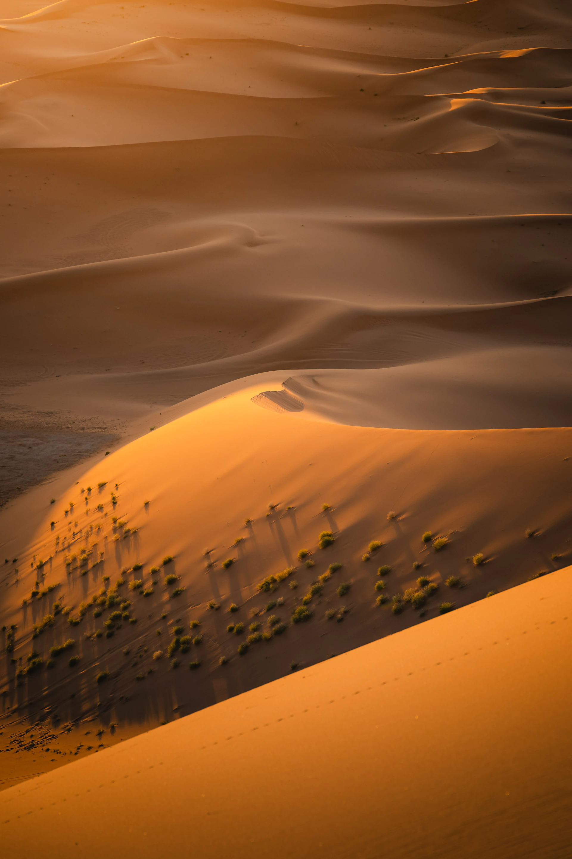 Dunas de arena dorada del desierto egipcio iluminadas por luz dorada