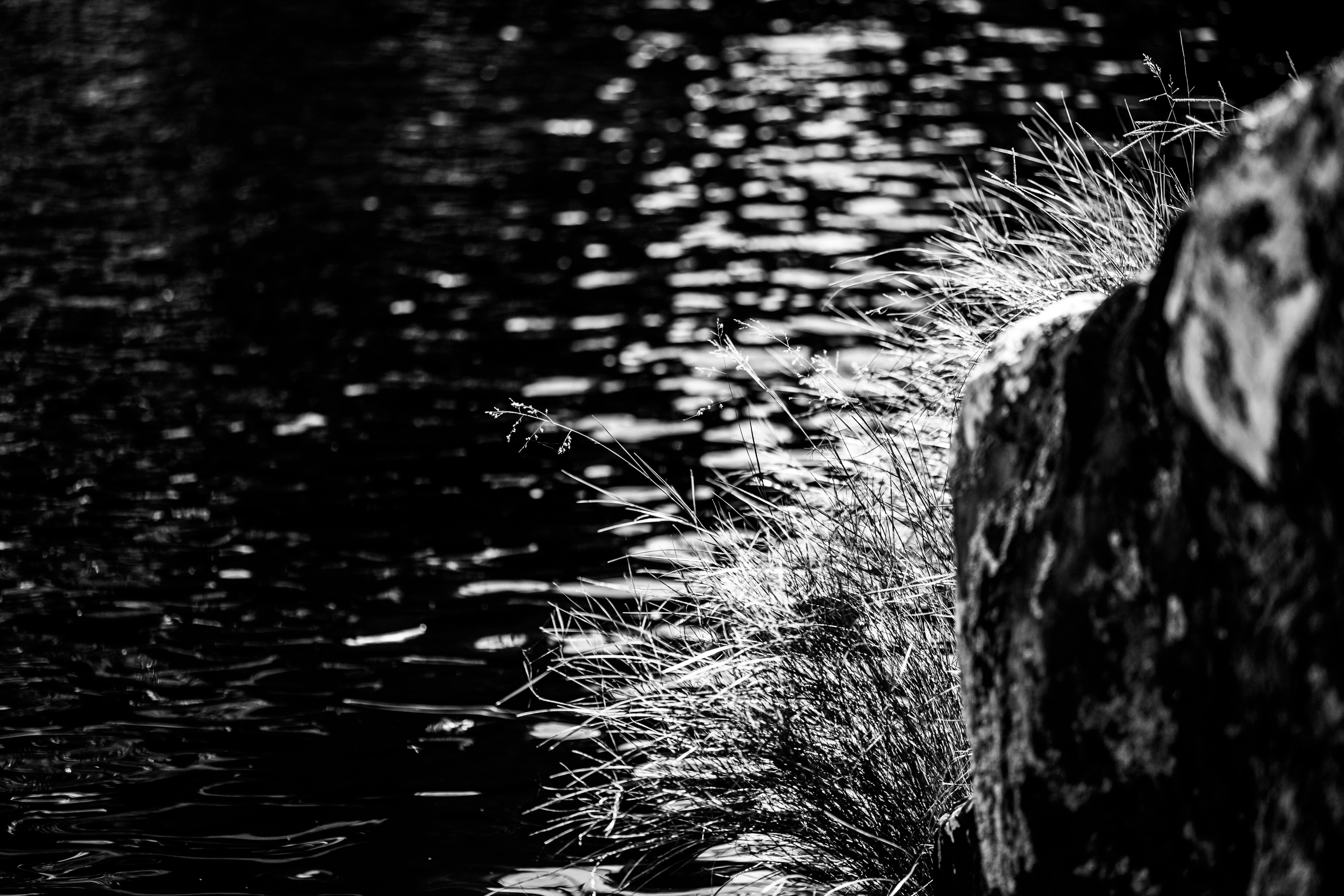 Grasses and stone border shimmering water.