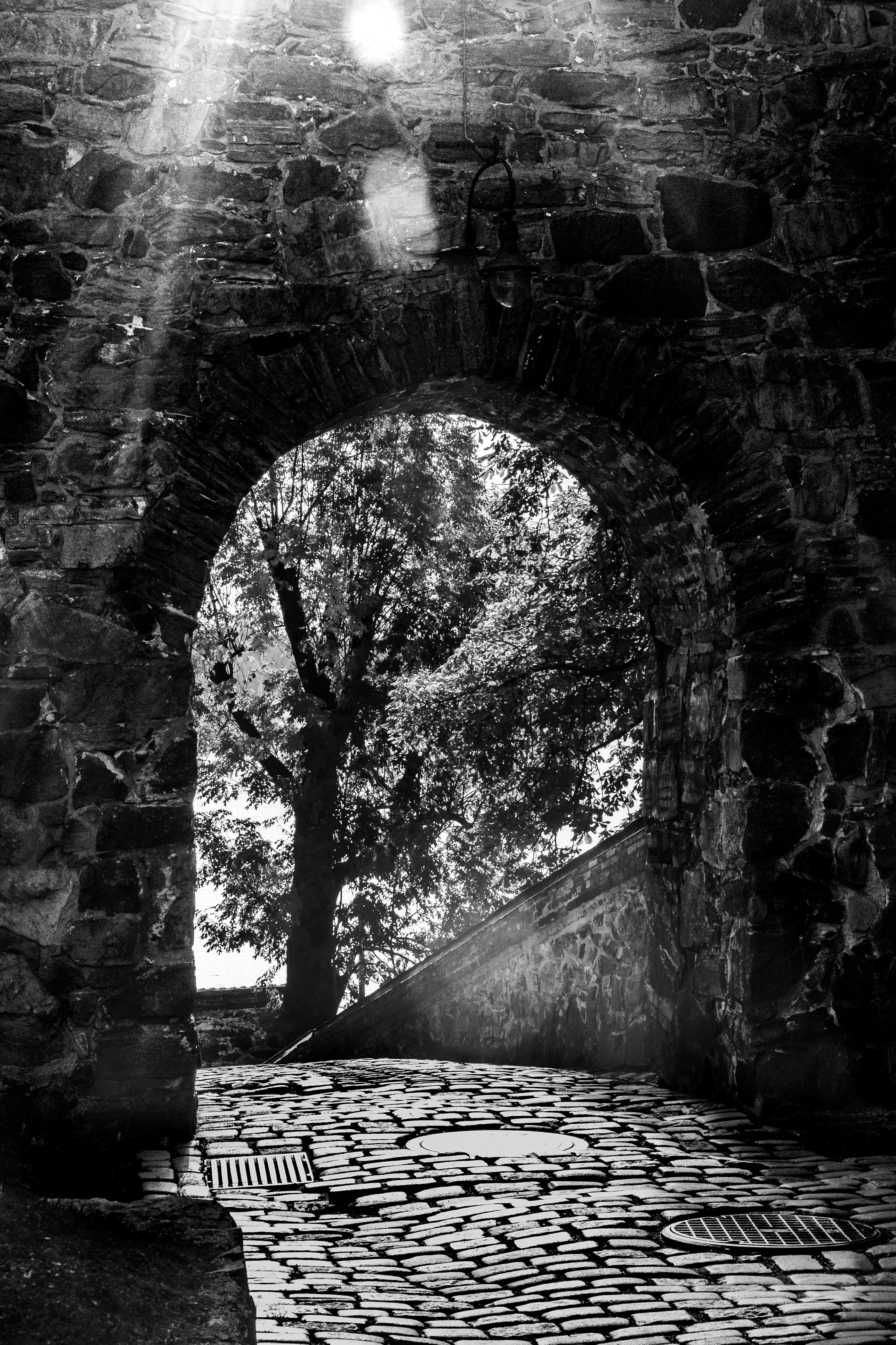 An arched doorway frames a tree in black and white.