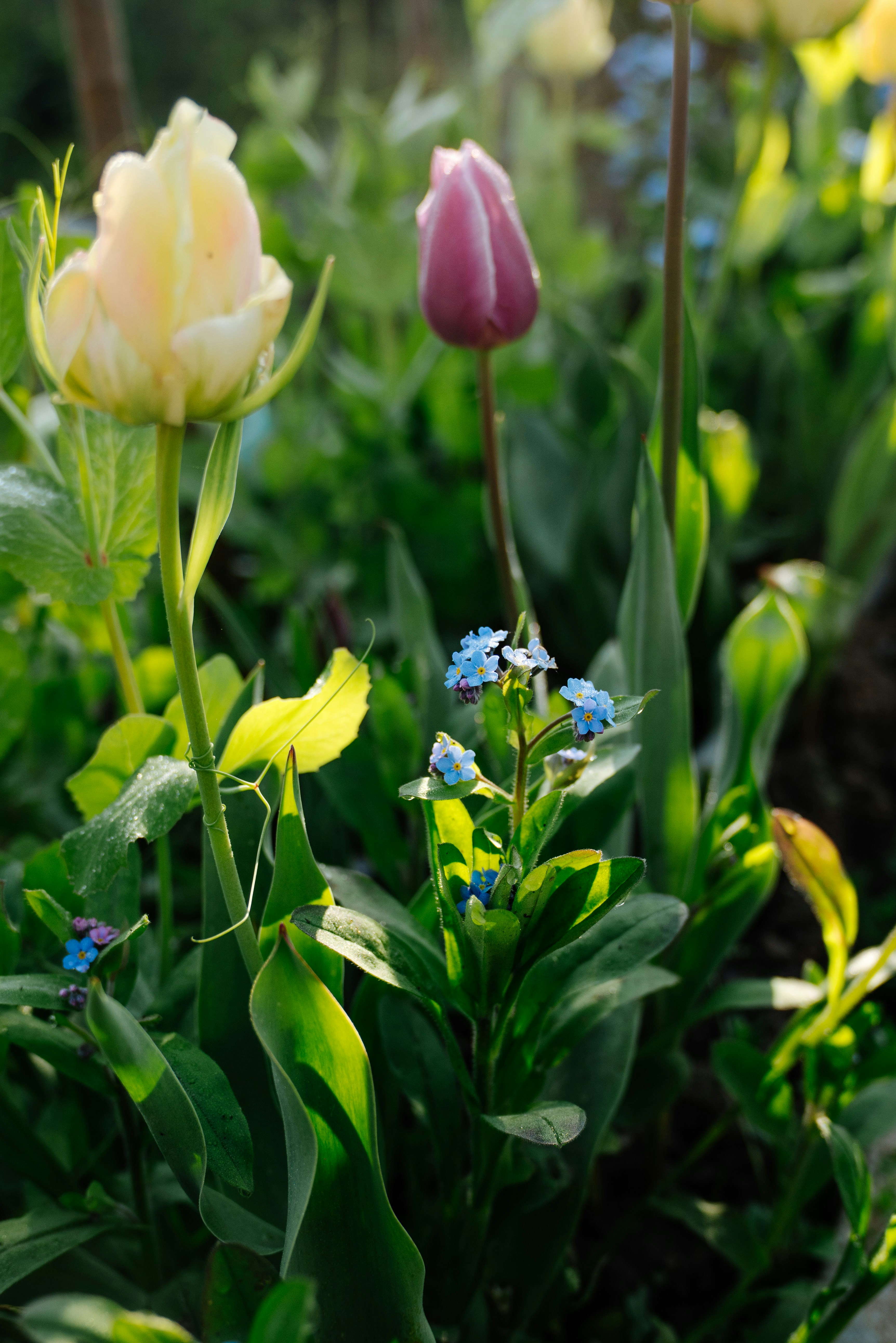 Photo by pascale_amez