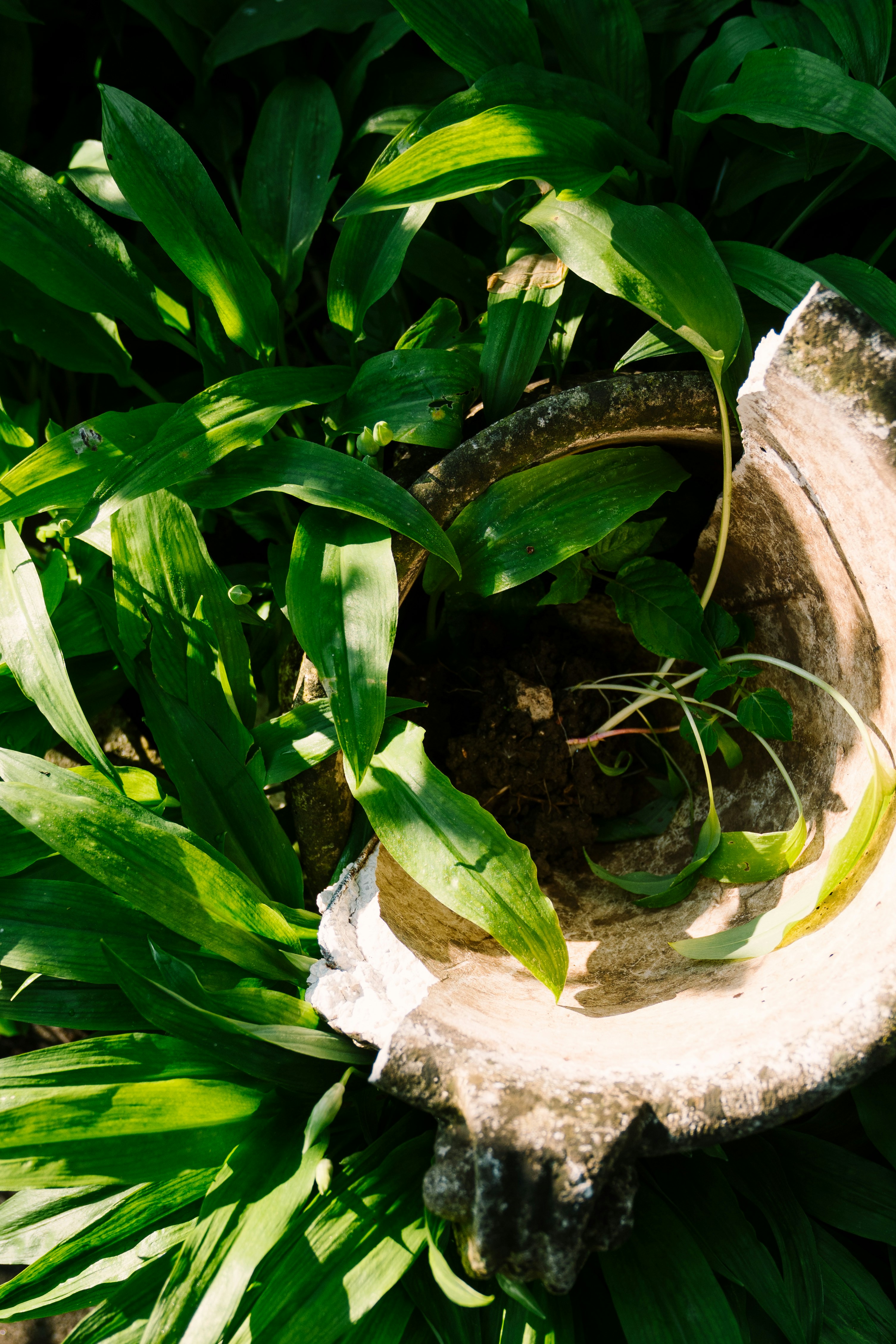 Photo by pascale_amez