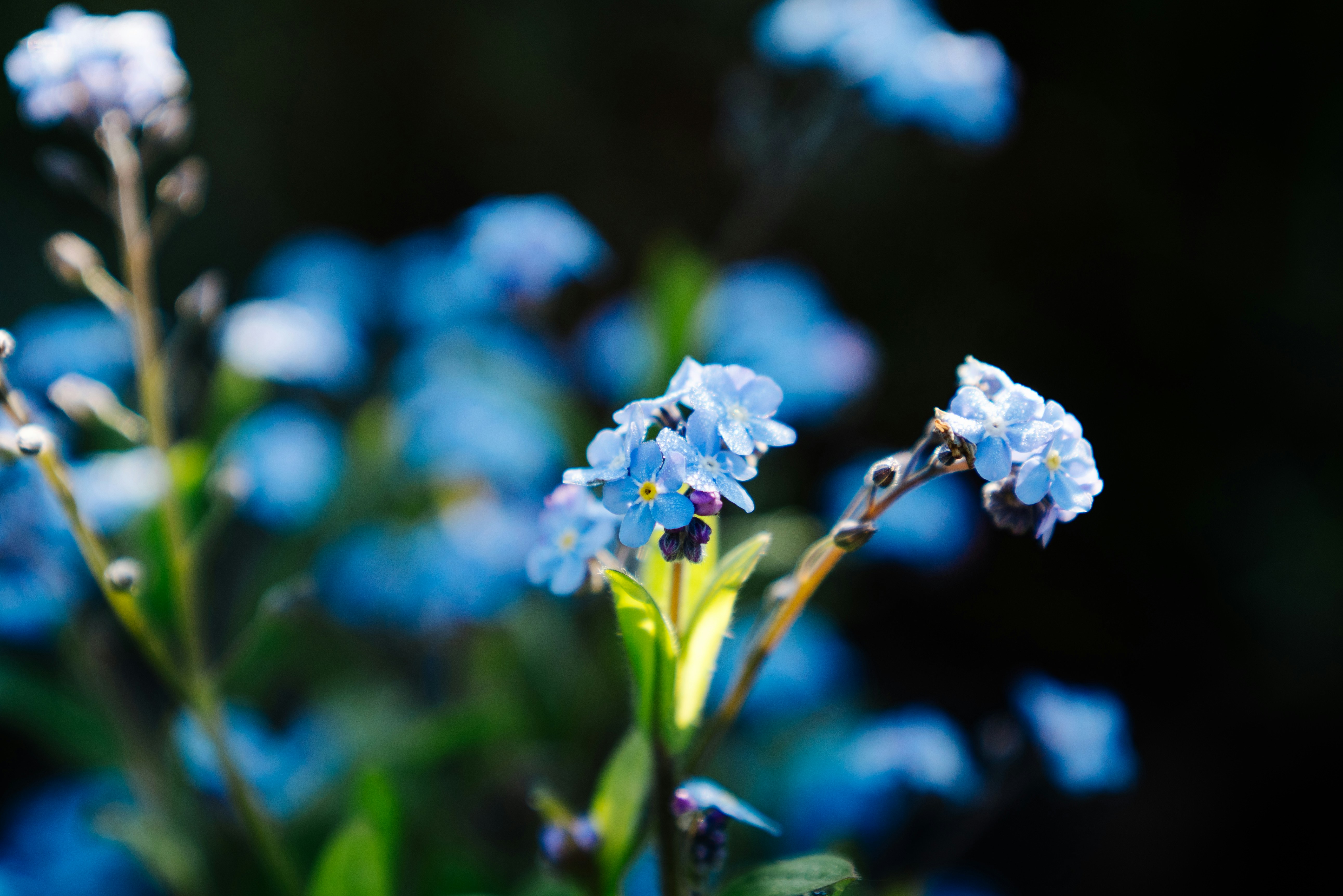 Photo by pascale_amez