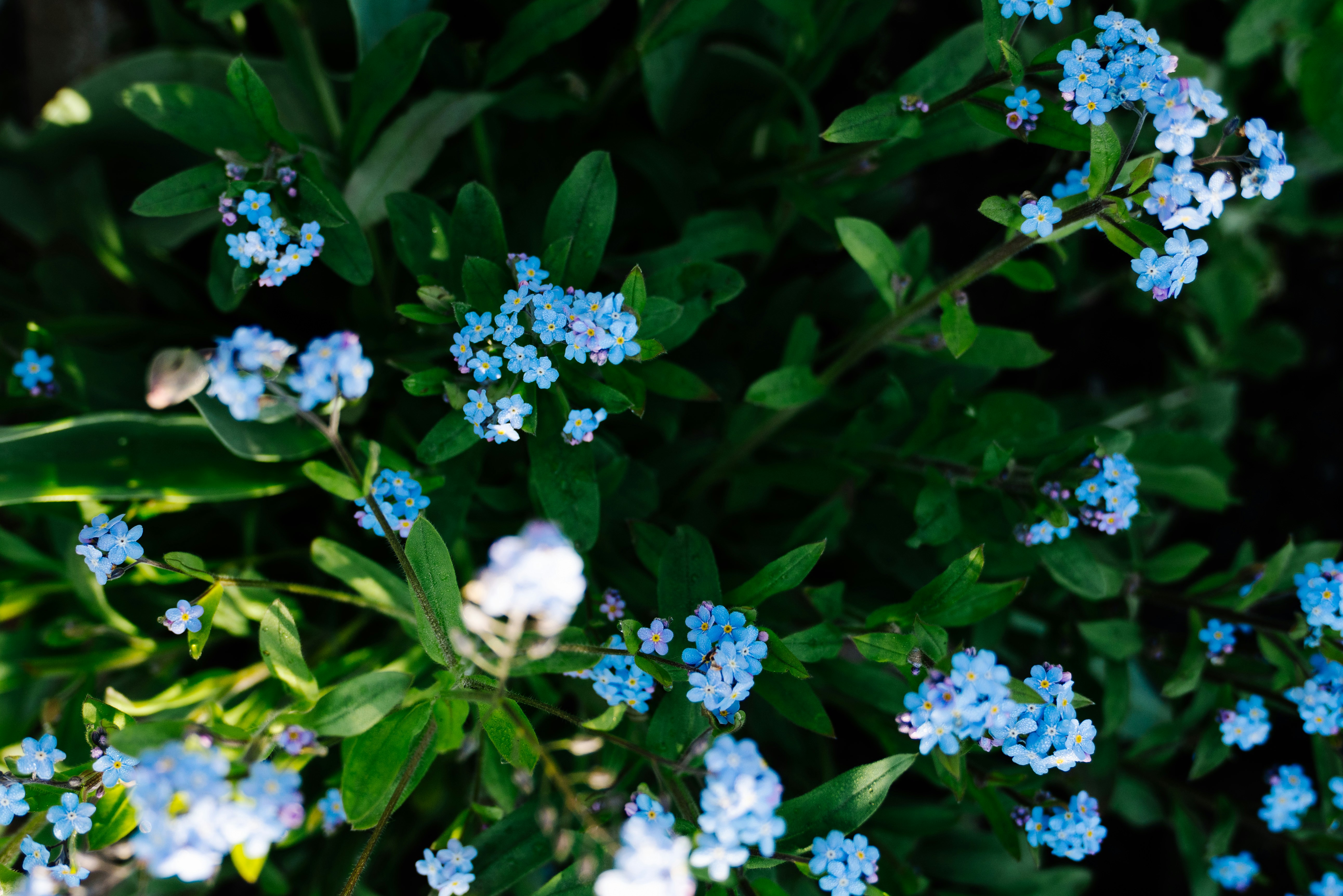 Photo by pascale_amez