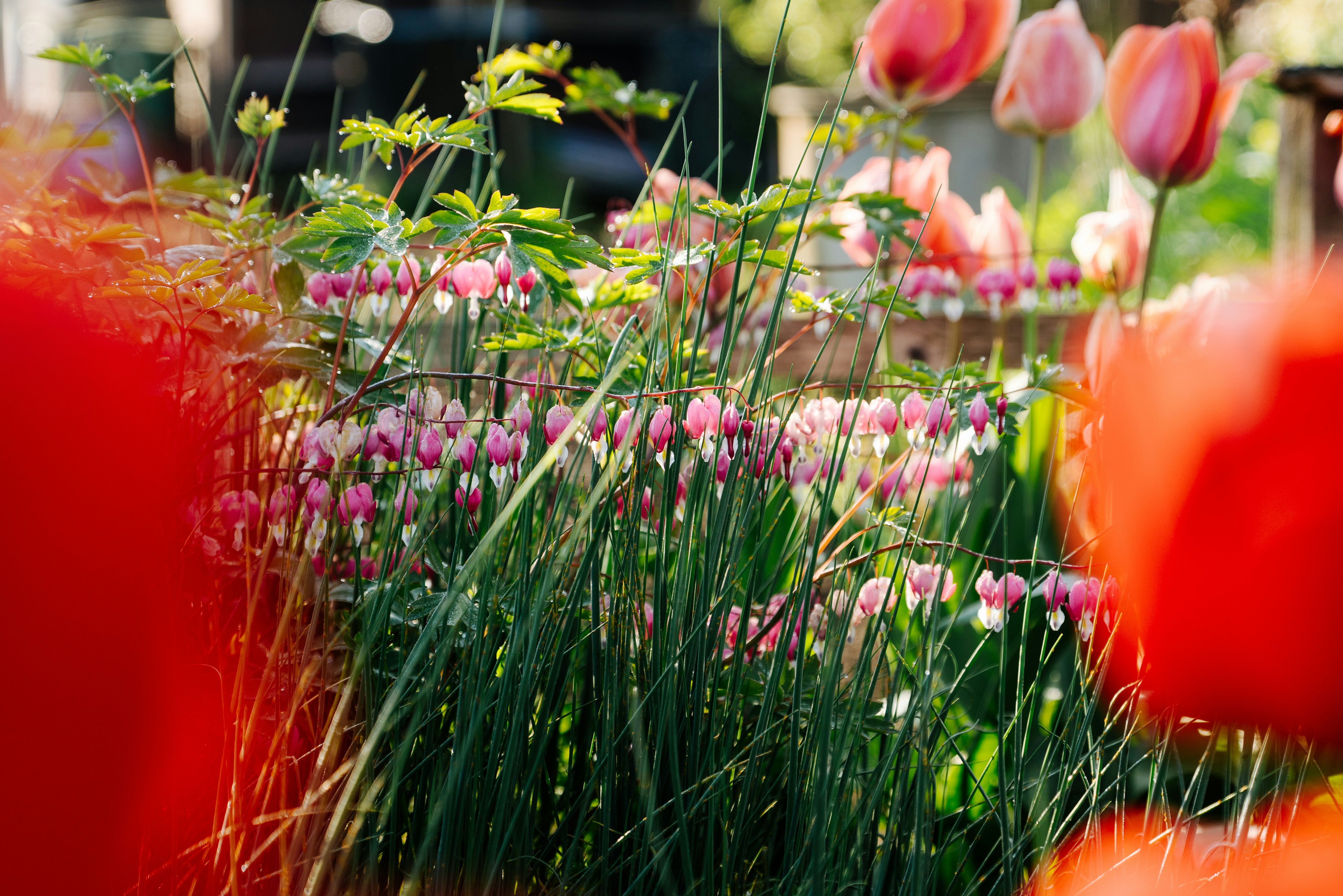 Photo by pascale_amez