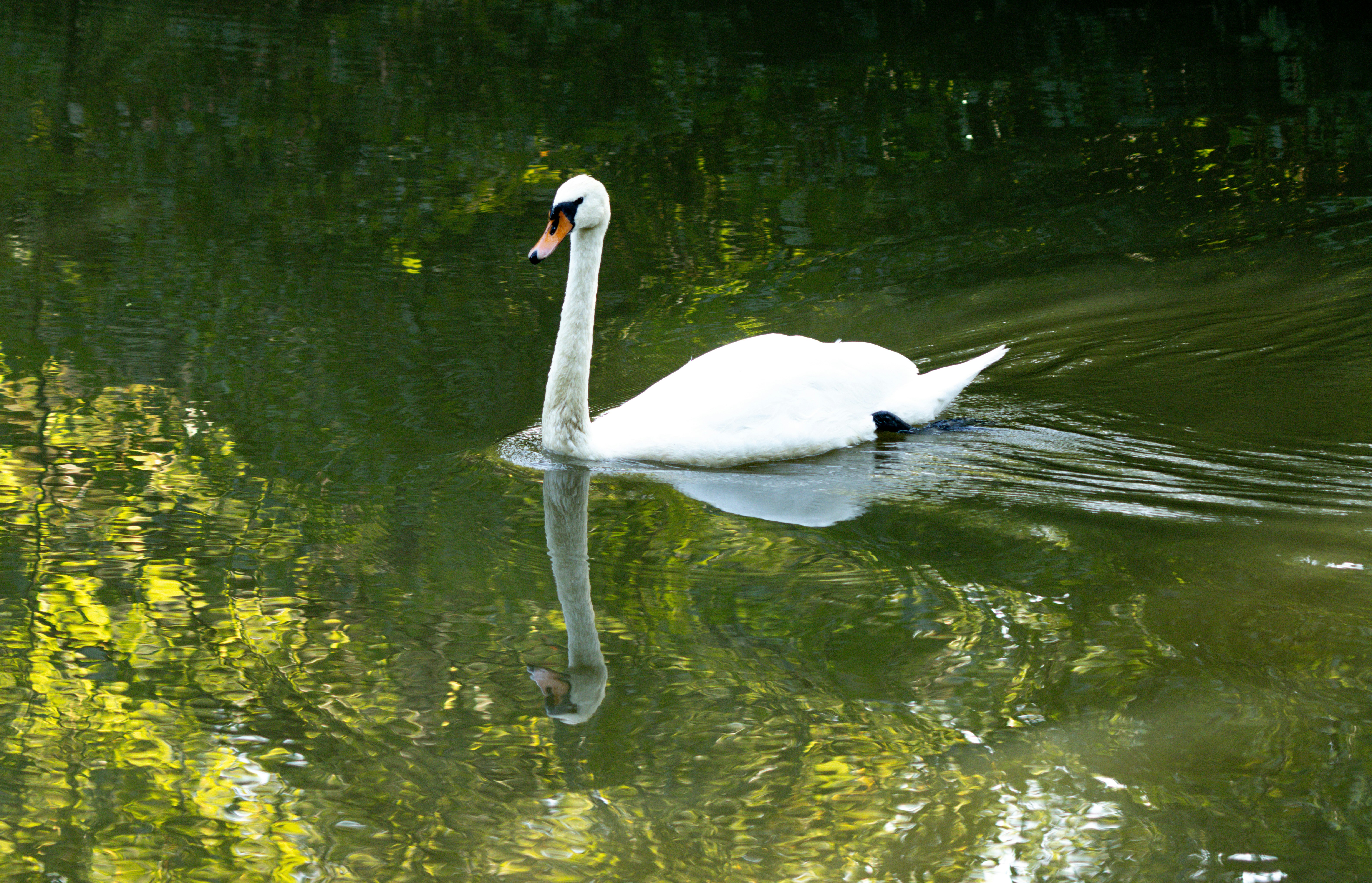 Photo by ecehasdemir